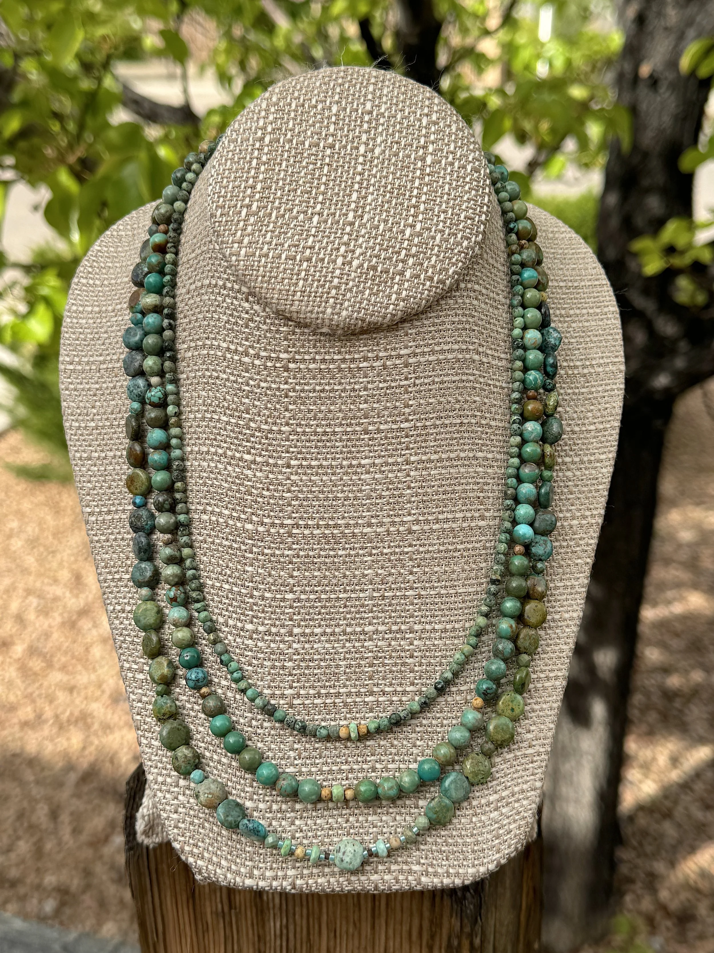 Traveling West pear tree.jpg