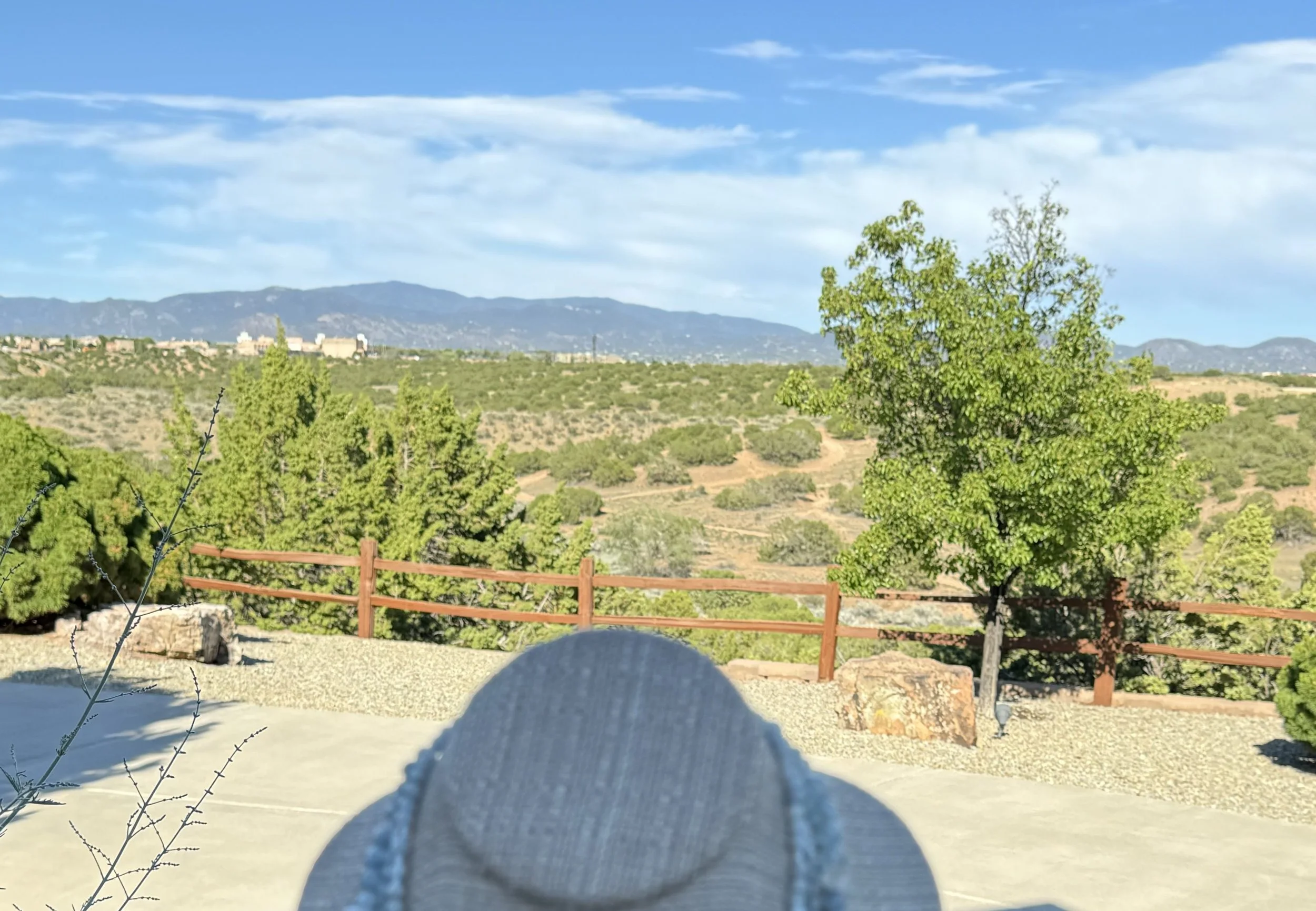 Watching the Clouds .jpg