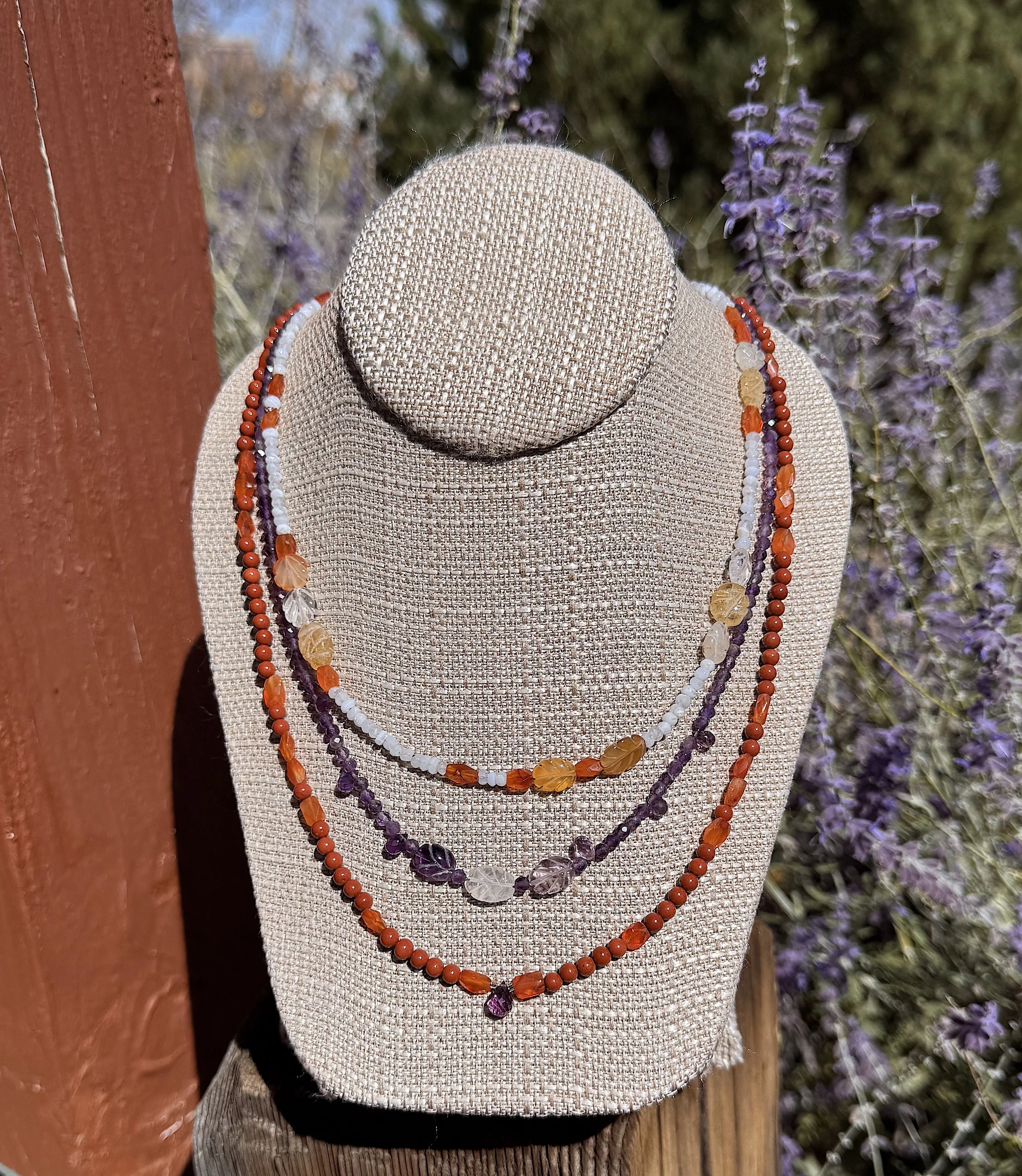 Taos Sunset Russian Sage.jpeg