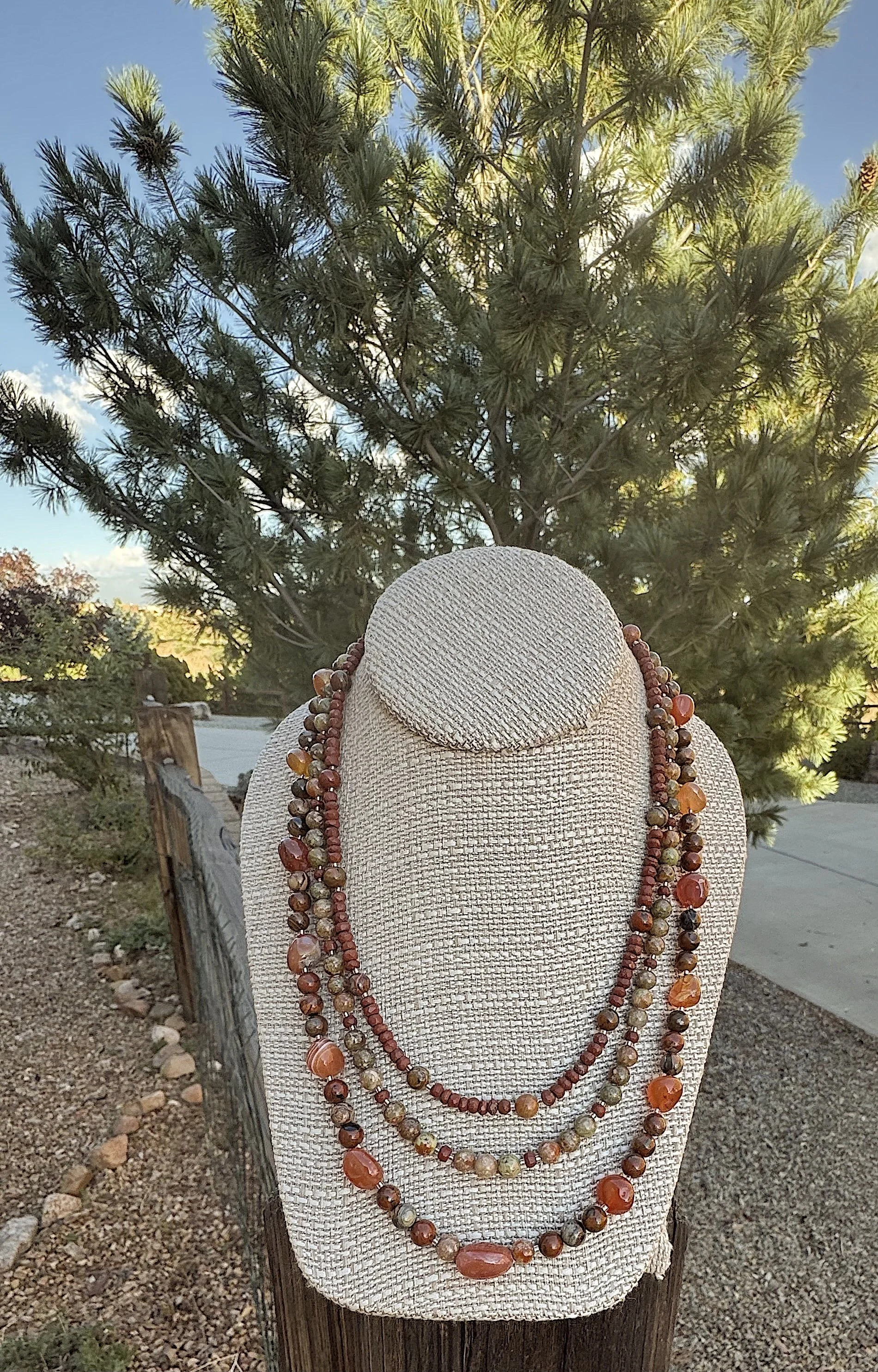 Autumn Hickory pine .jpg