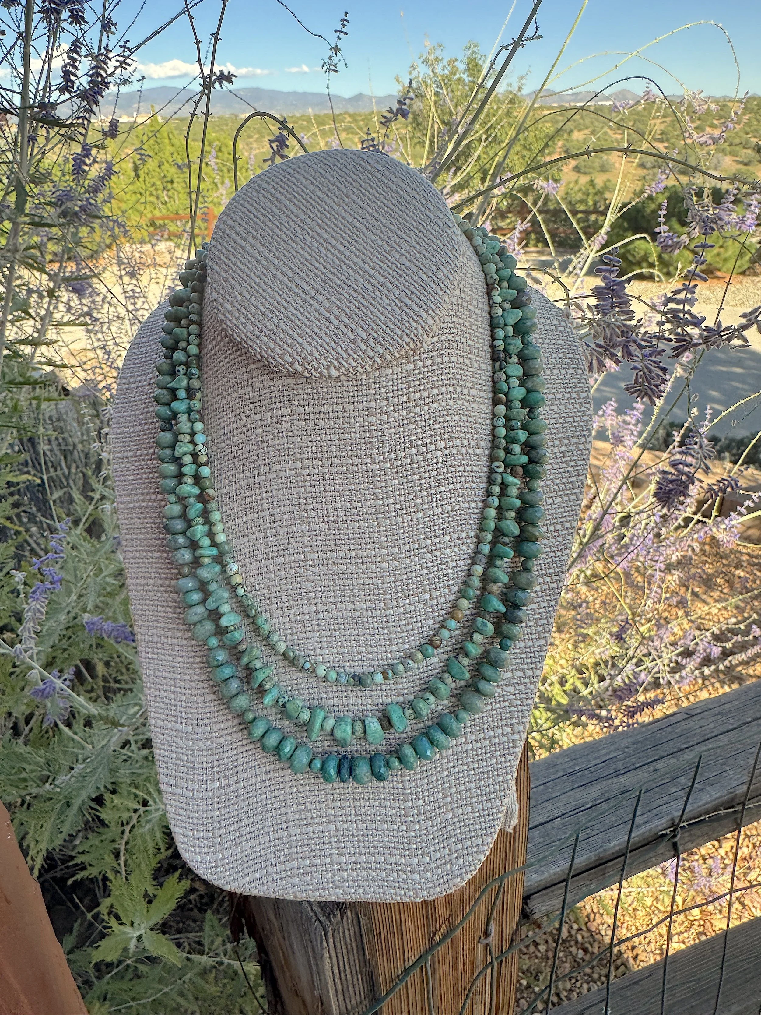 New Mexico view of mountains.jpg