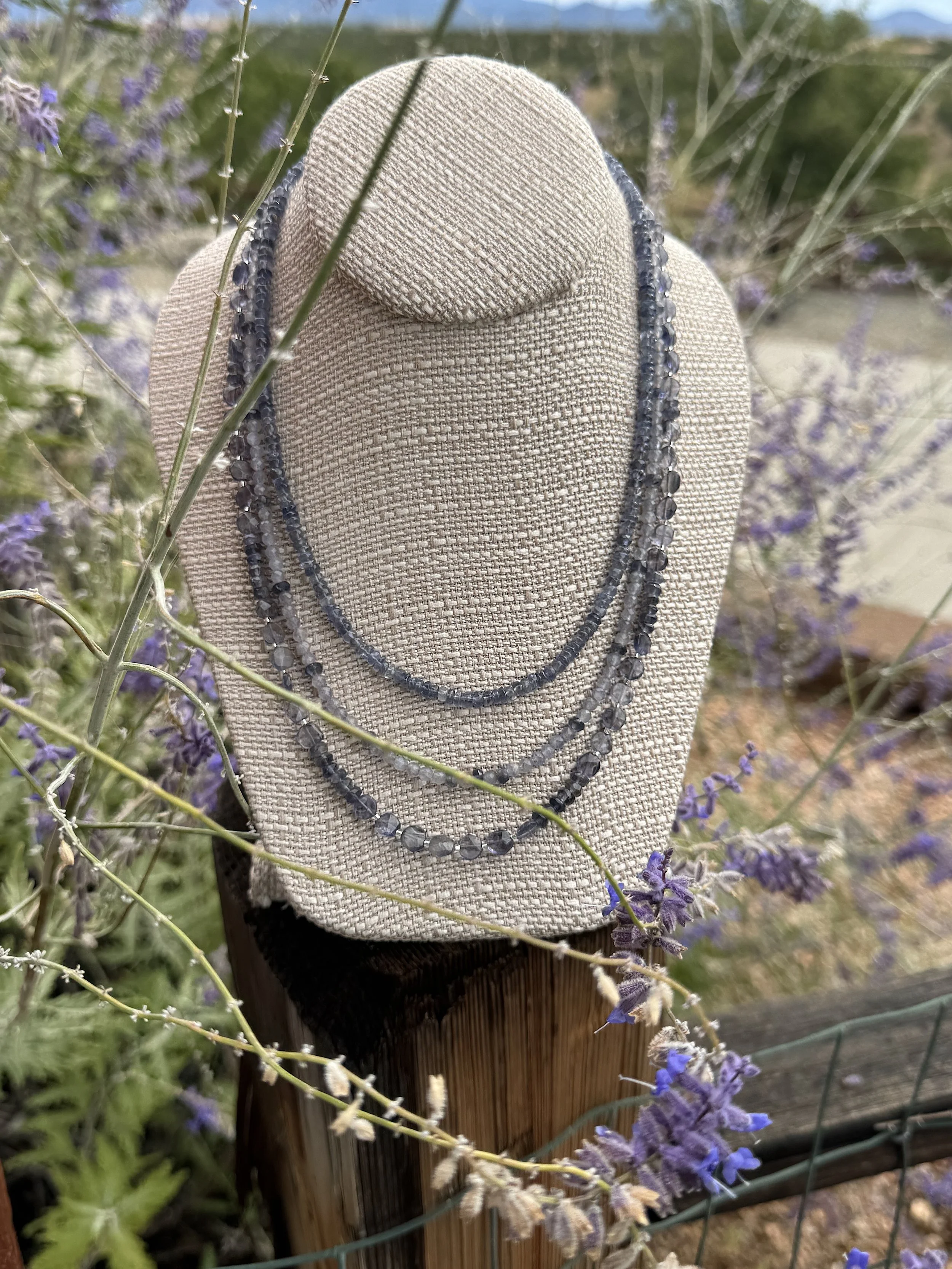 Twilight russian sage-prettiest.jpg