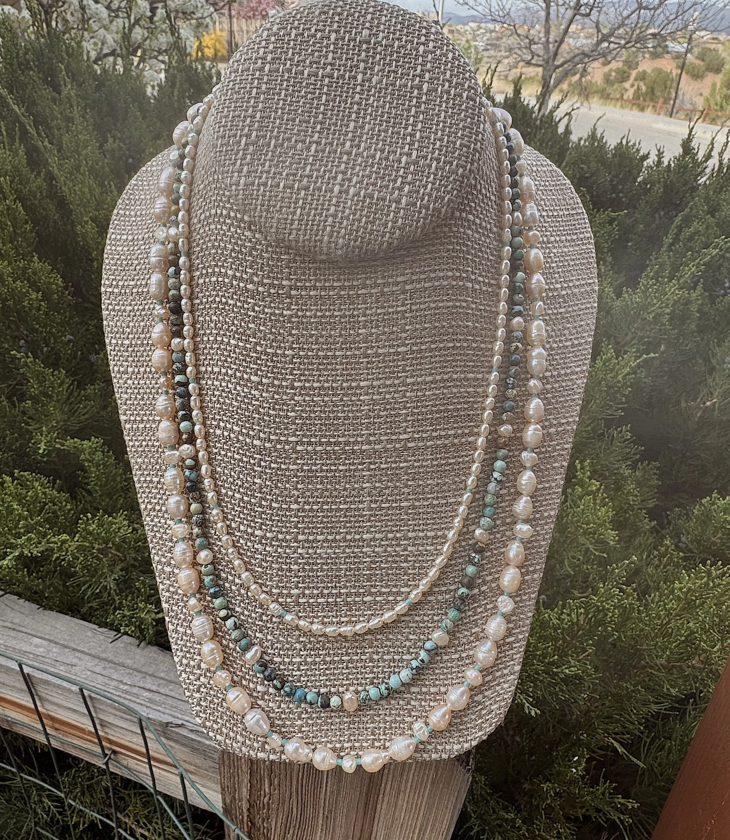 Pacific Ocean junipers.jpeg