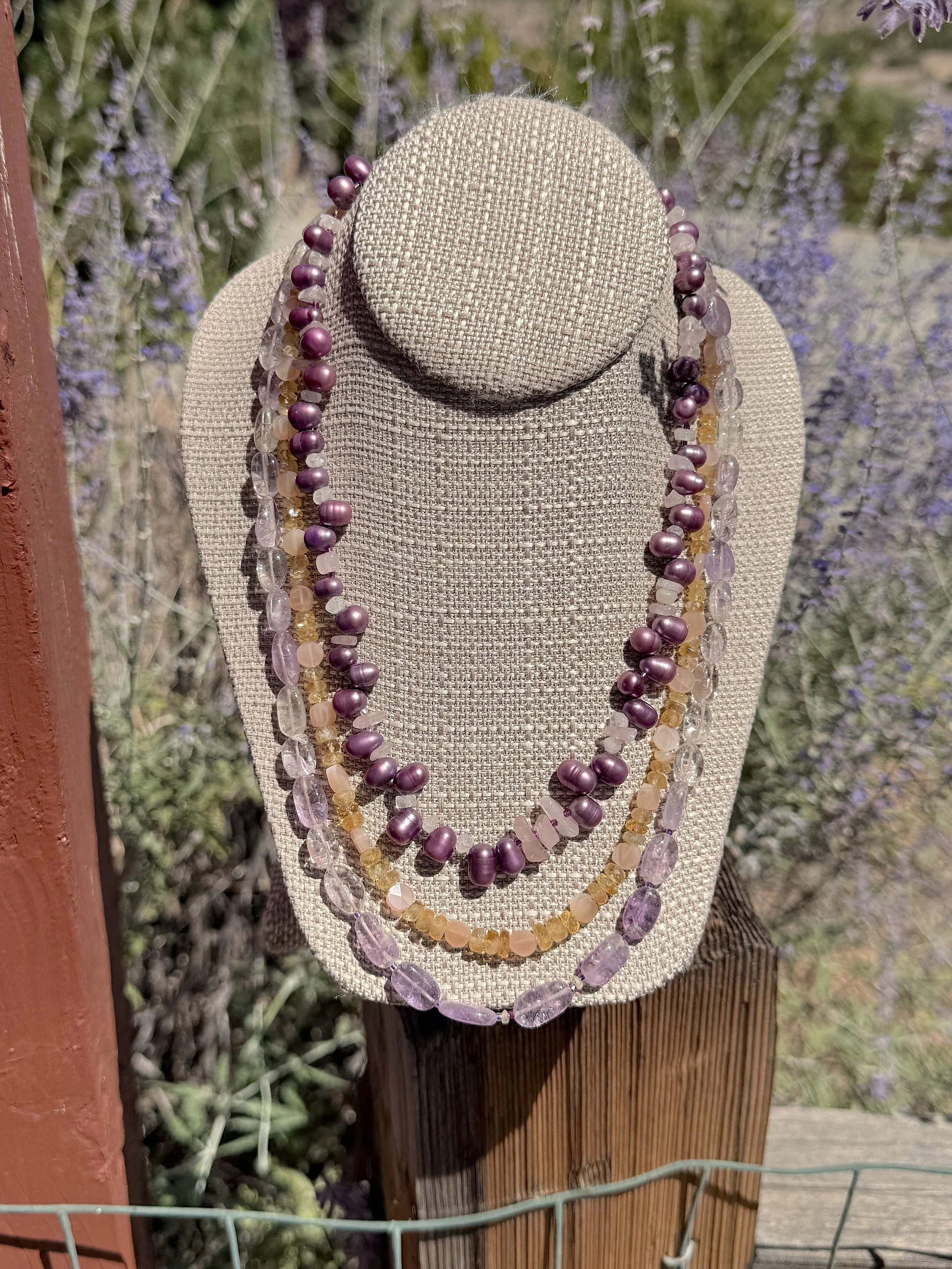 Multi Color Sunset russian sage.jpeg