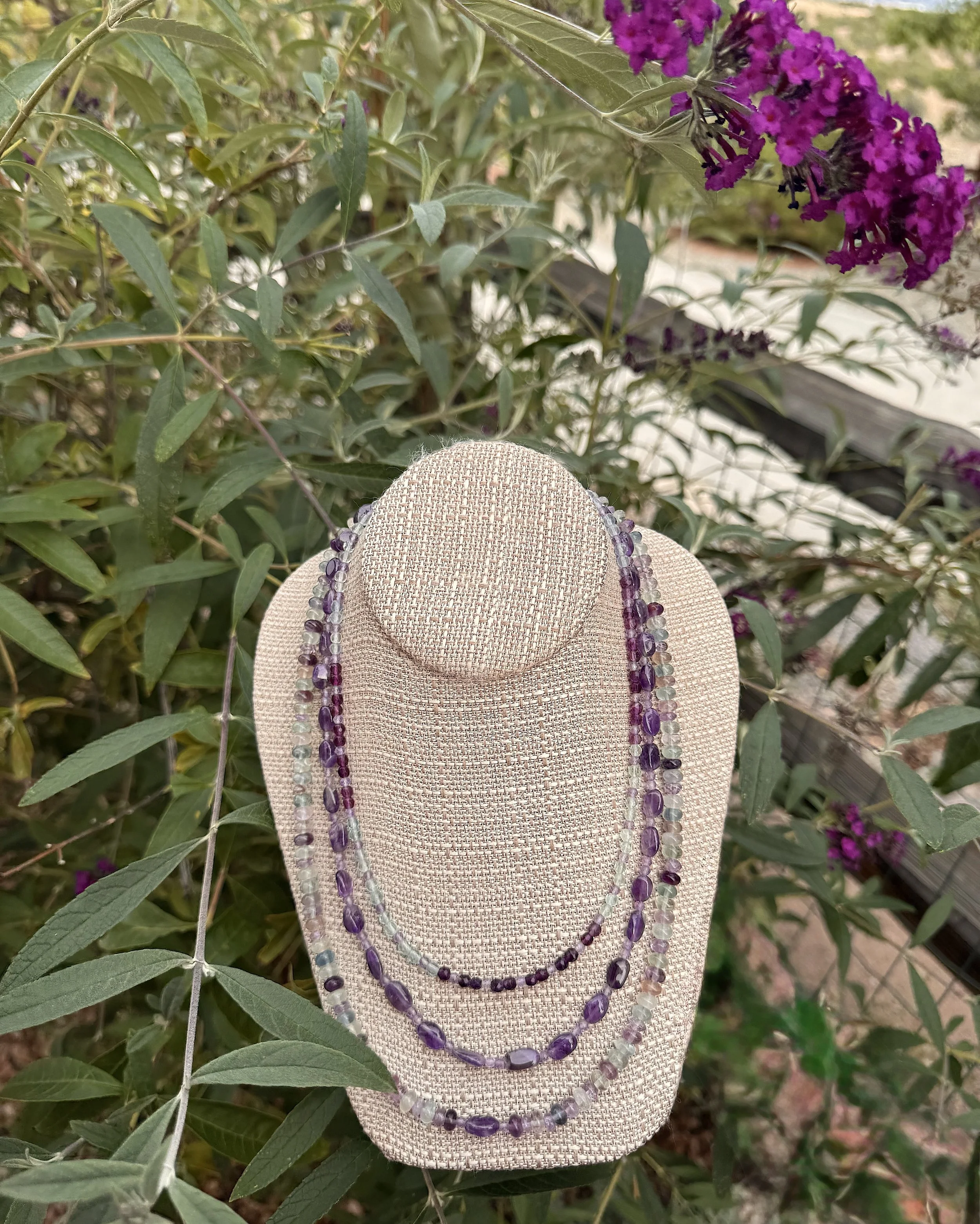 Royal Colors butterfly bush.jpeg