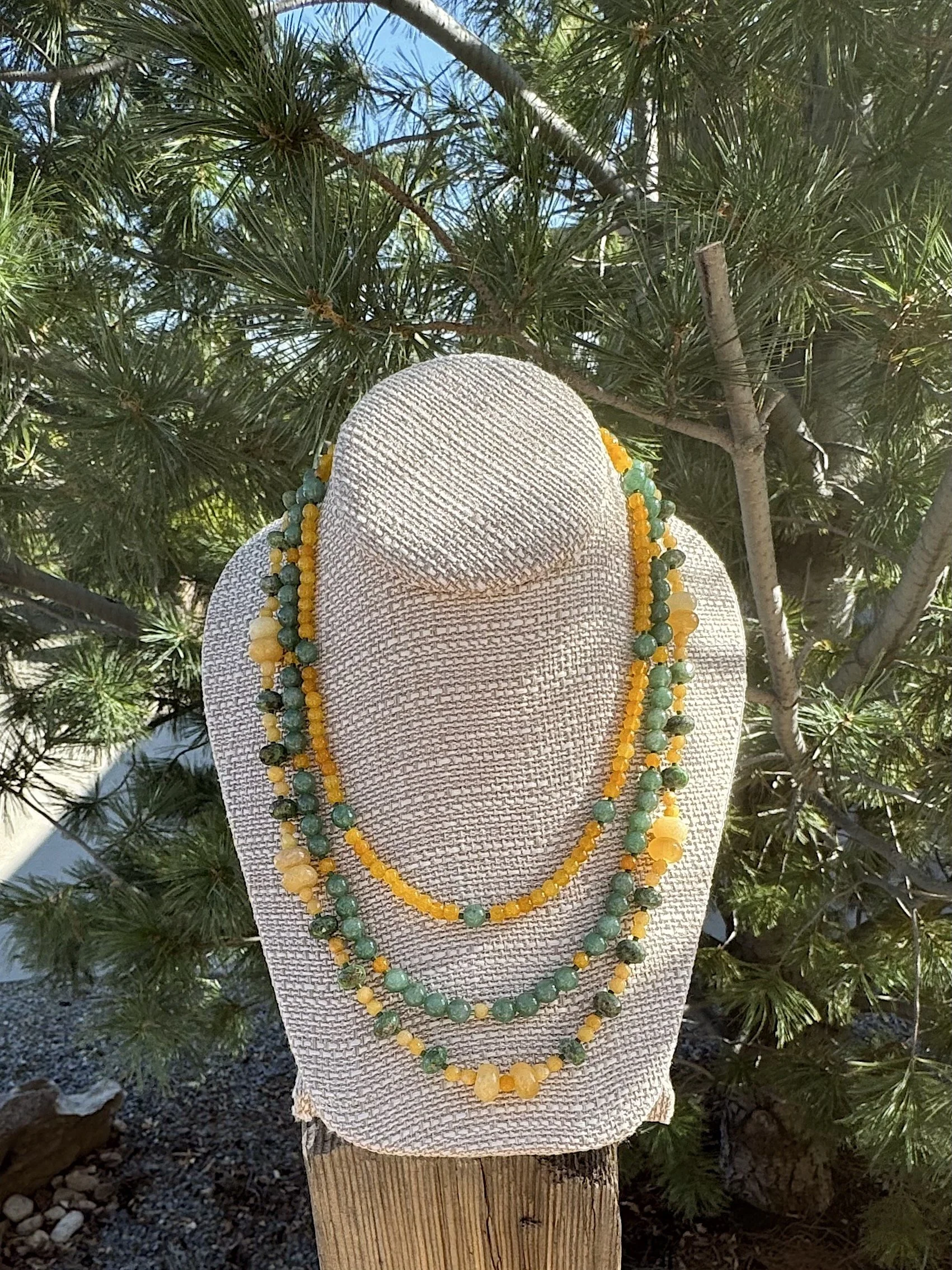 October Aspens pine 2.jpg