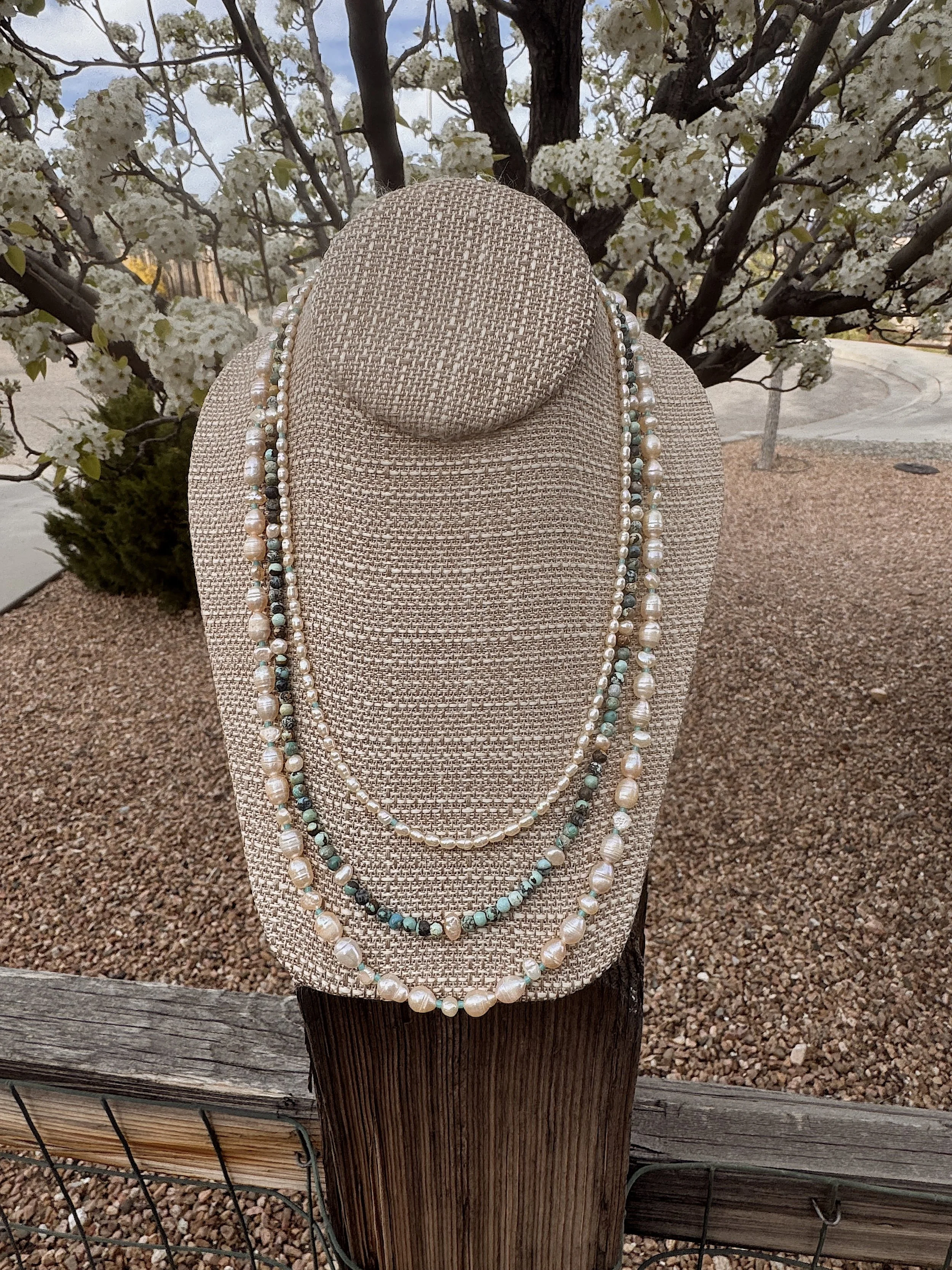 Pacific Ocean Bradford Pear.jpeg