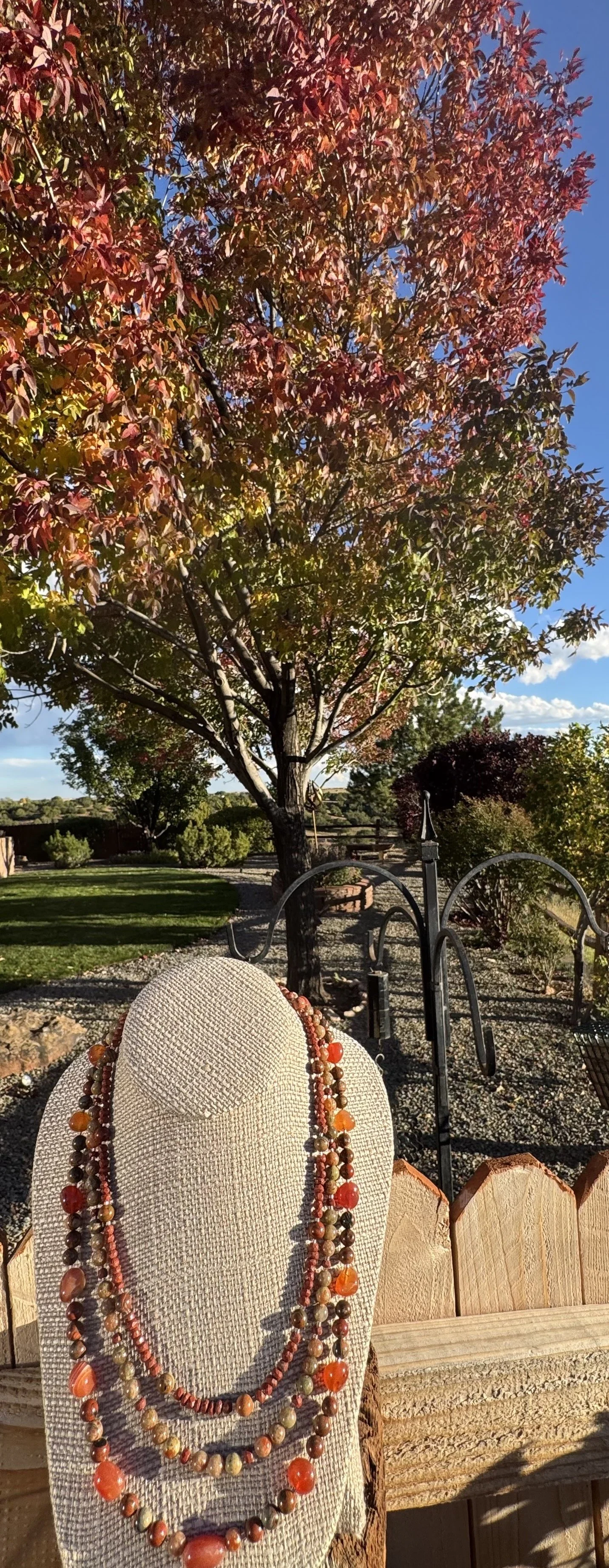 Autumn Hickory with tree 2.jpg