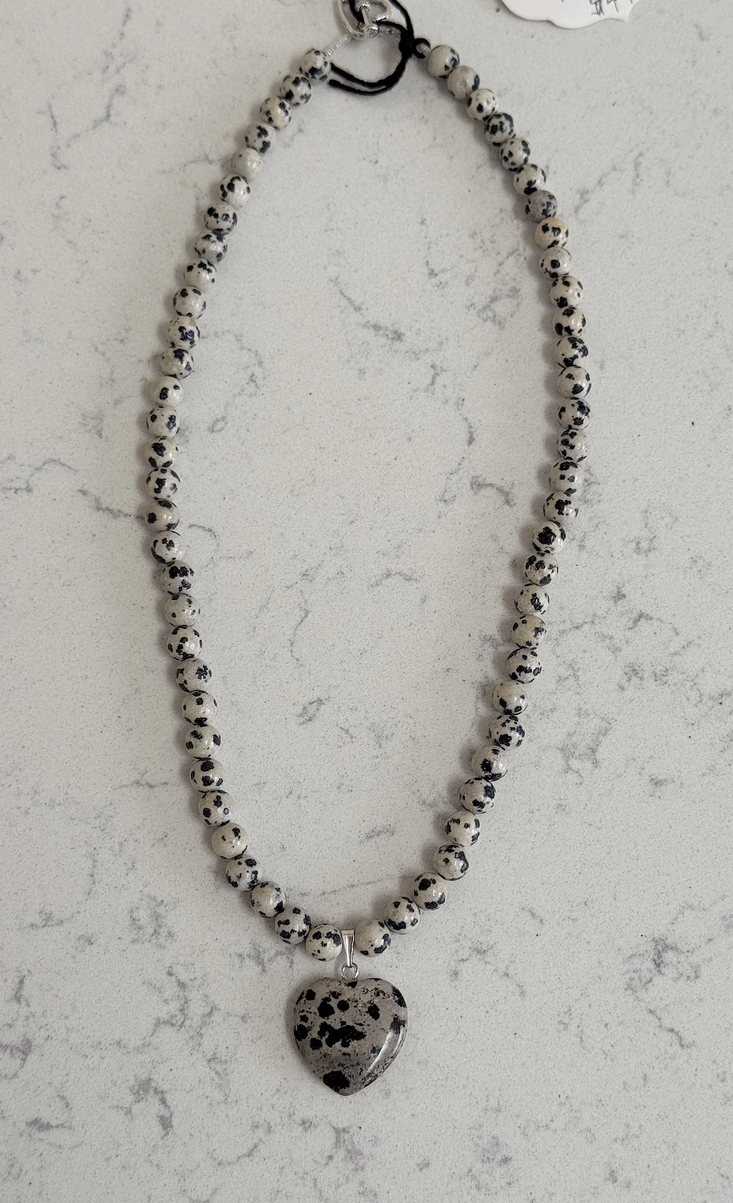 Dalmatian Jasper with heart full.jpeg