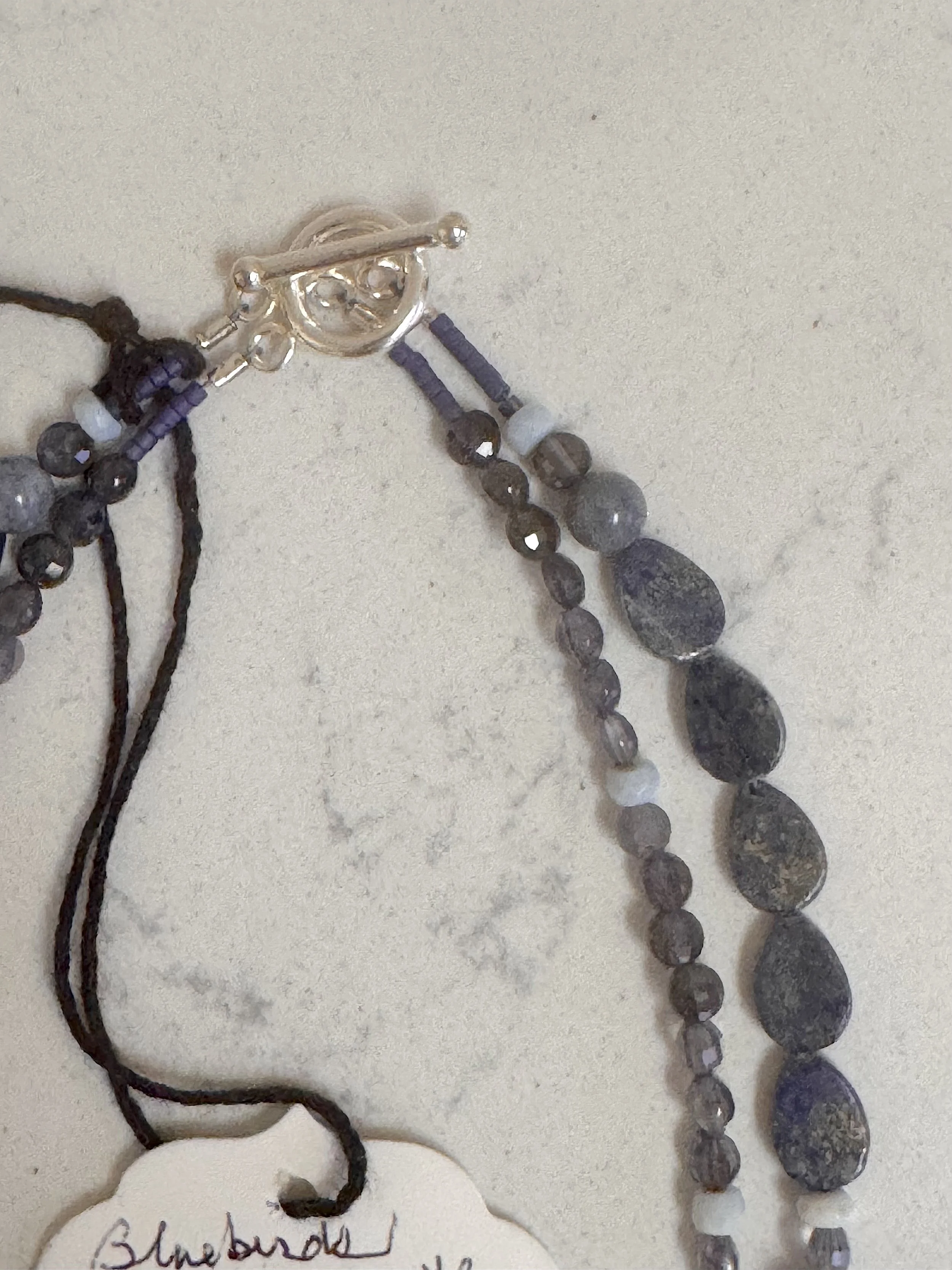 Bluebirds 2 clasp.jpeg