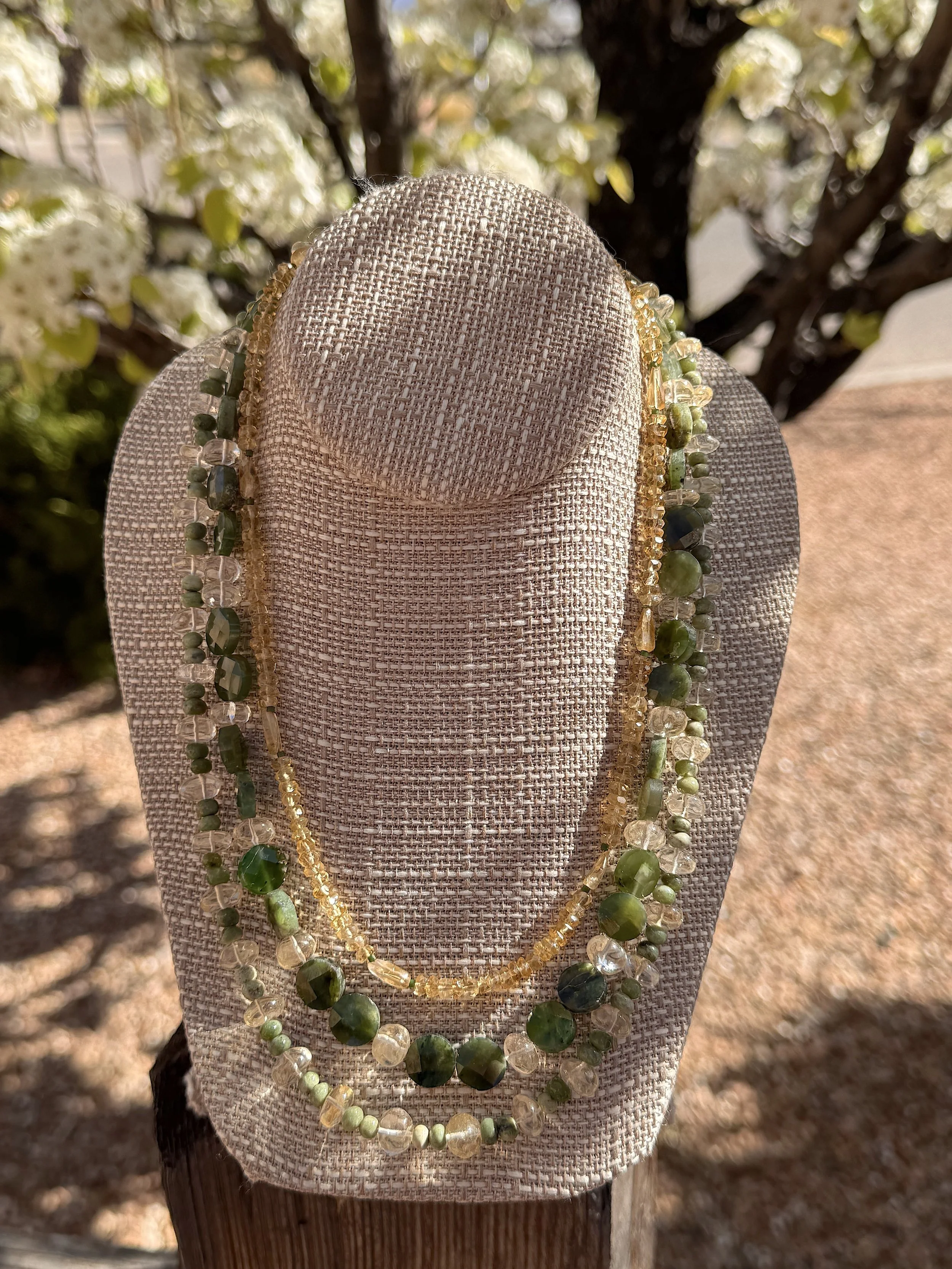 Daffodils 3 Pear tree.jpeg