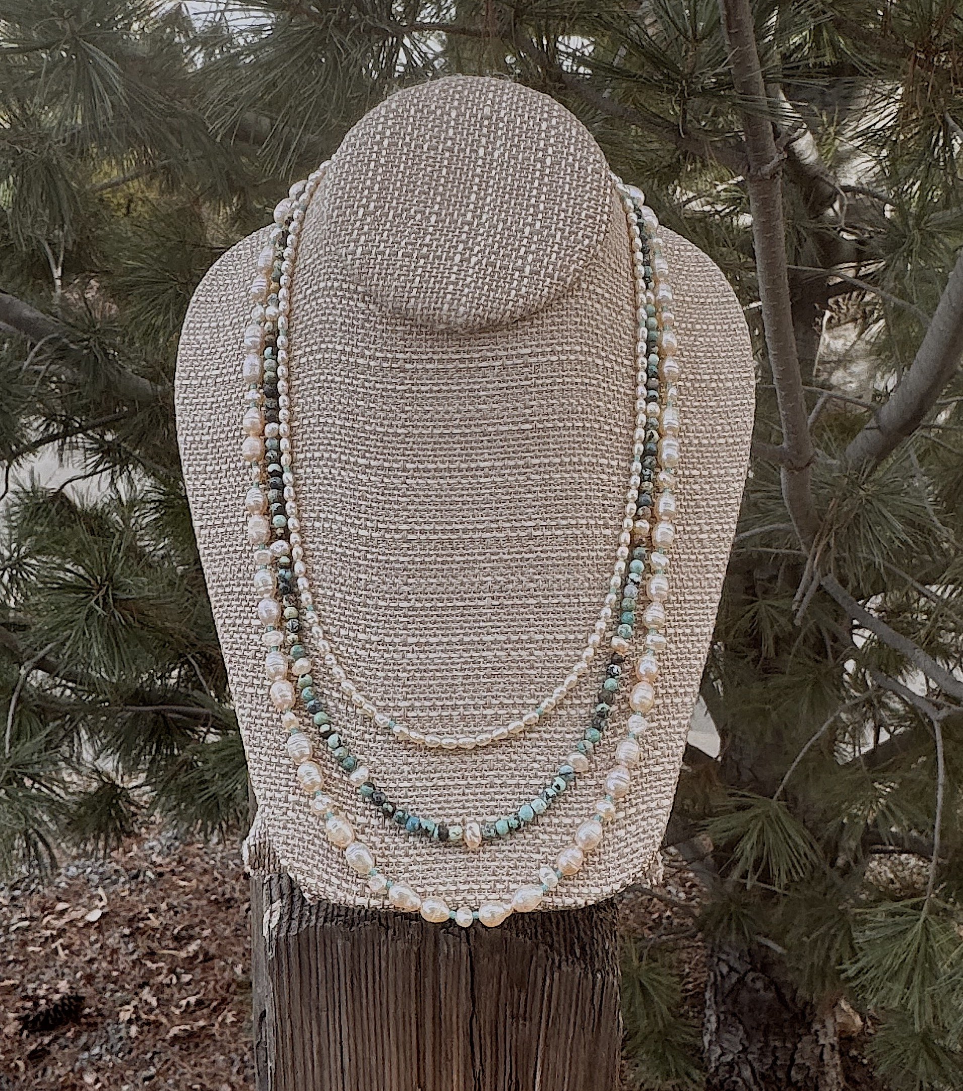 Pacific Ocean pine tree.jpeg