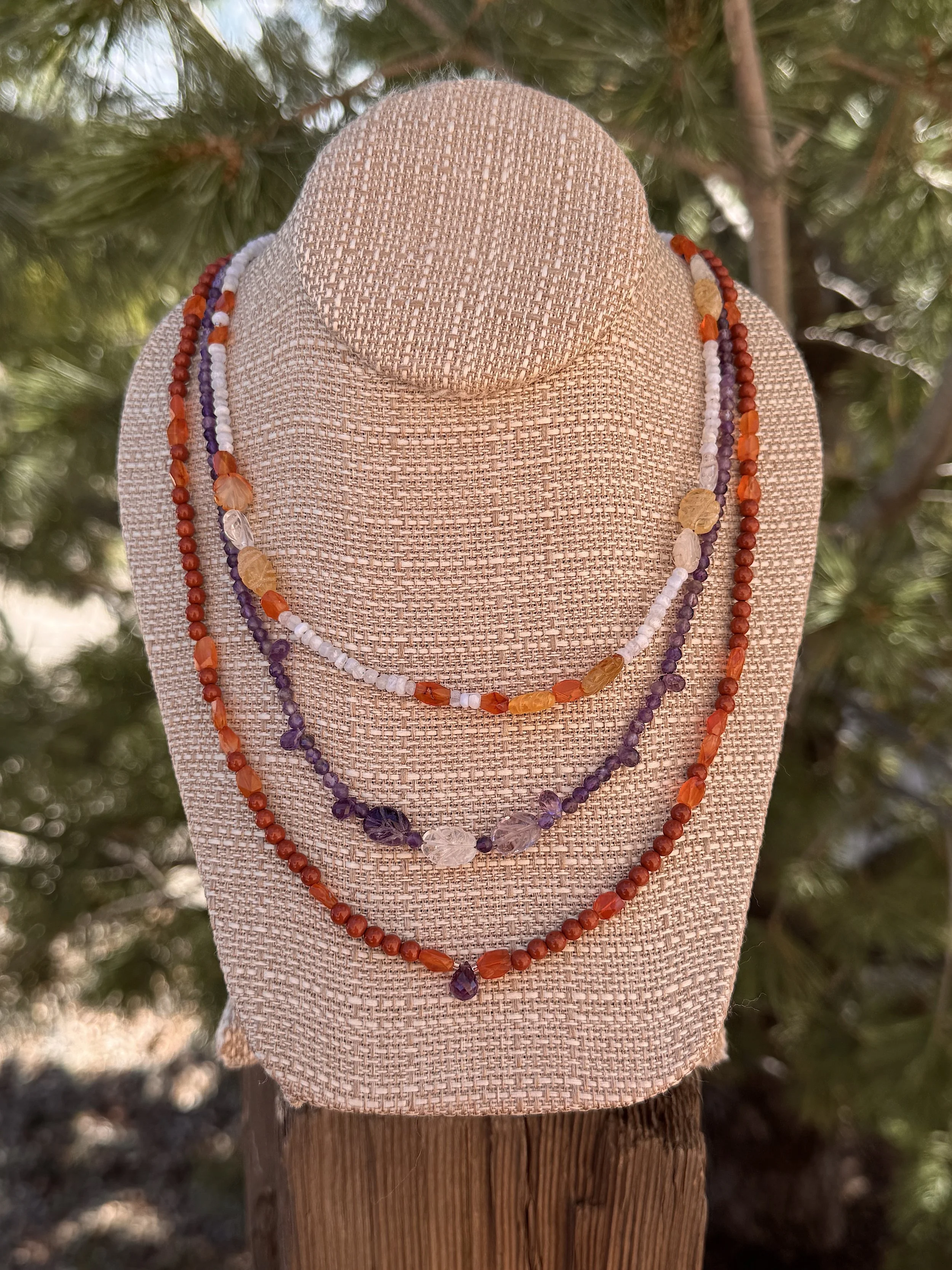 Taos Sunset pine .jpeg
