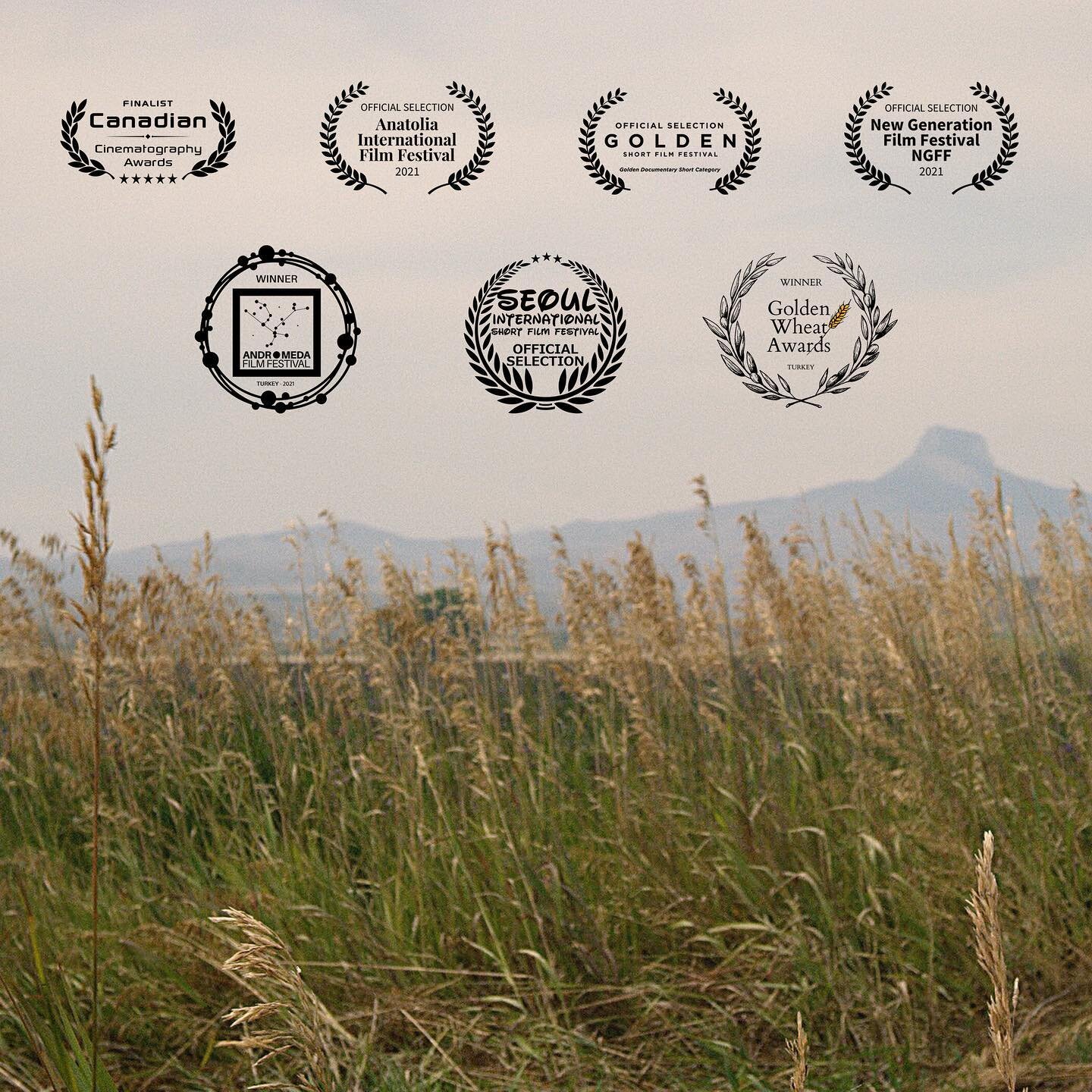 Grateful to all these festivals for choosing Fugetsu-Do to be a part of their programs! 👉 Best Documentary at @communityofcinema #goldenwheatawards 👉 Best Cinematography at Andromeda Film Festival 👉 Finalist for Best Short Film at @cineawards 👉 O