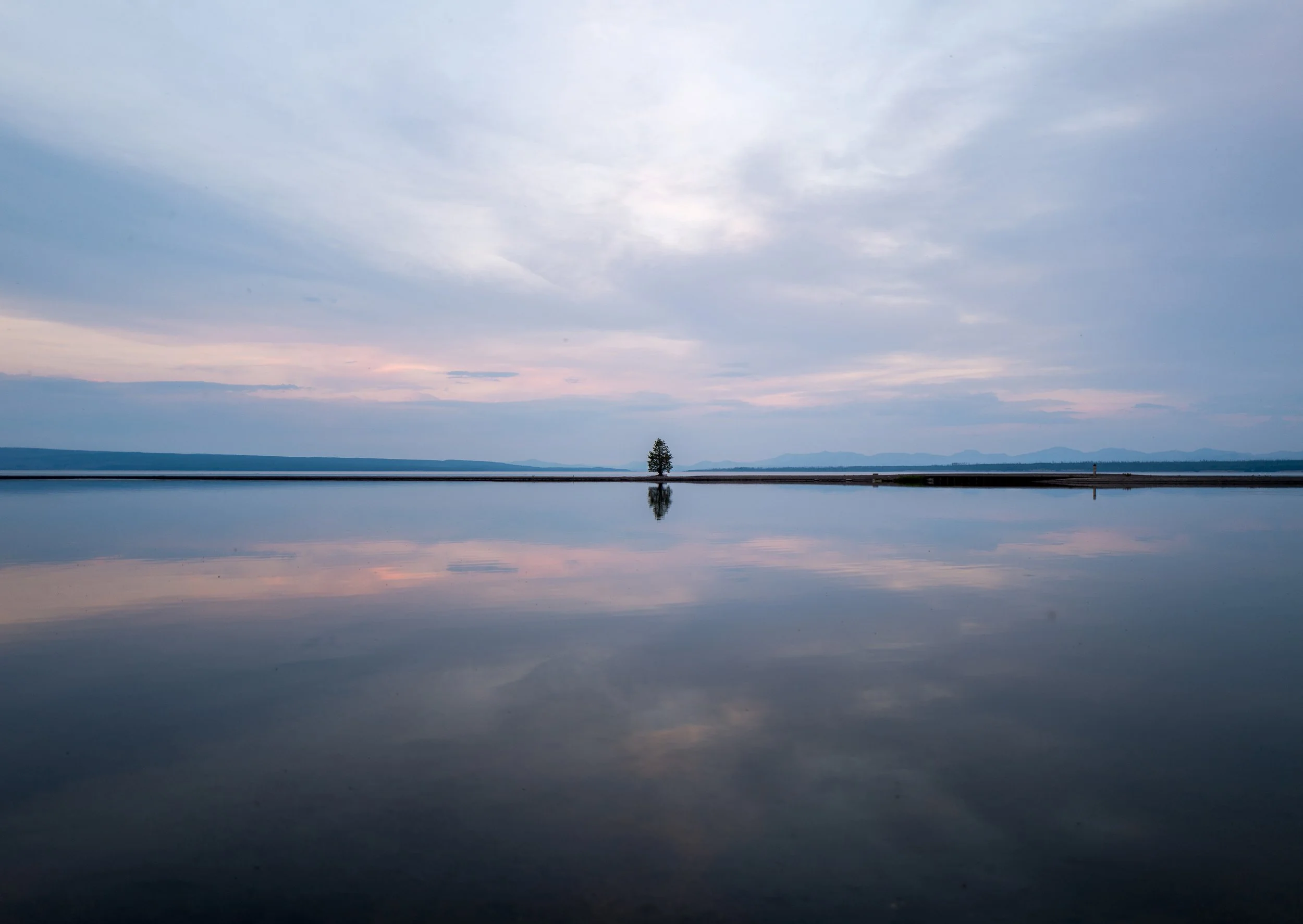 KR_OpenStudios_A4_tree reflection.jpg