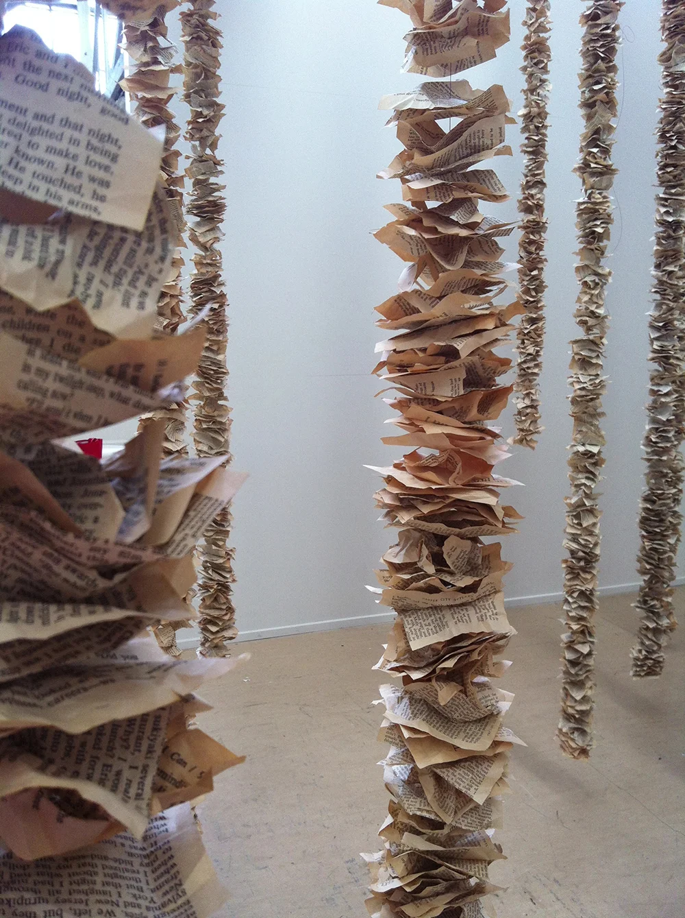 Serena Rosevear - Interstitial 2.jpg