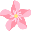 oleander-2.png