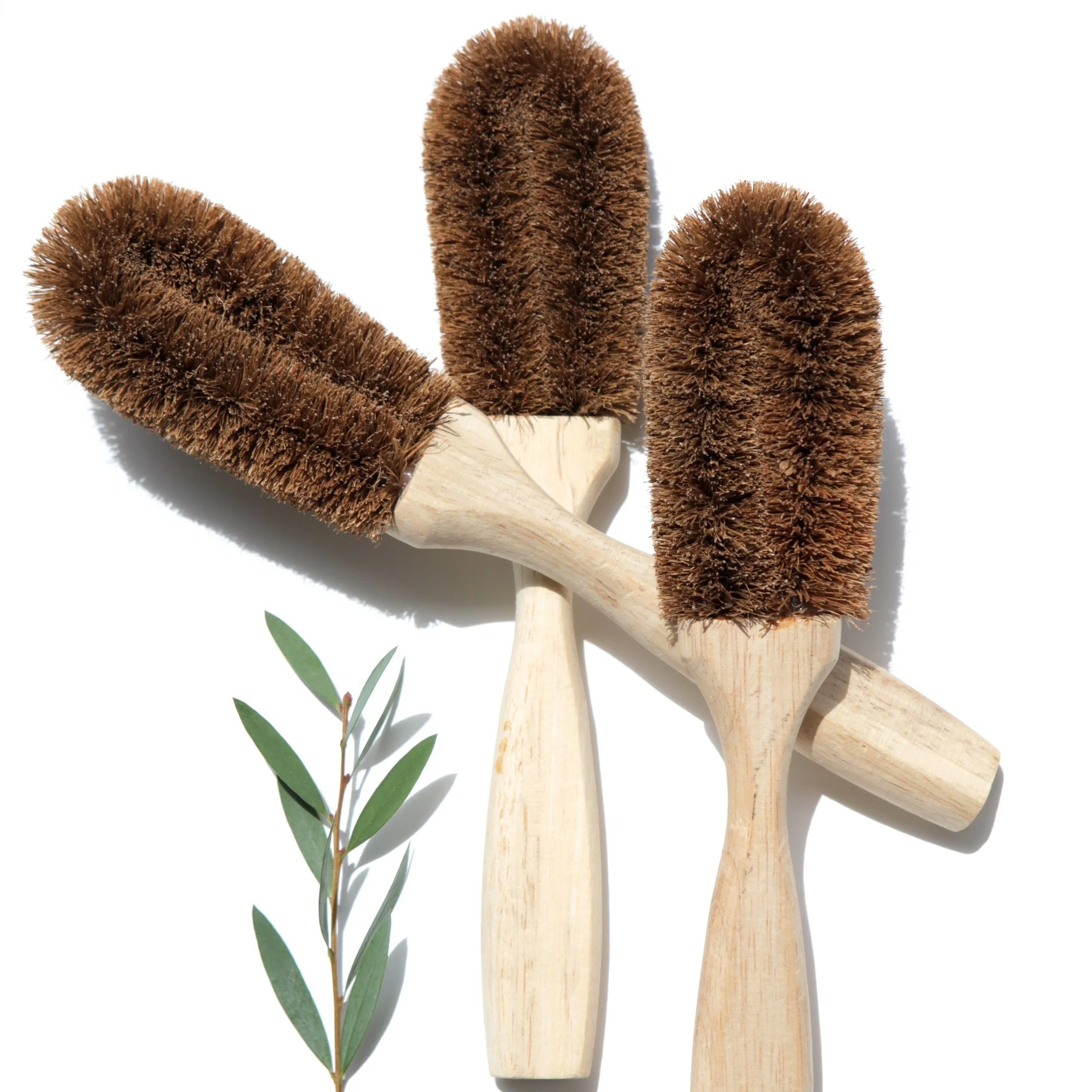saint_olio_scrubber.jpg