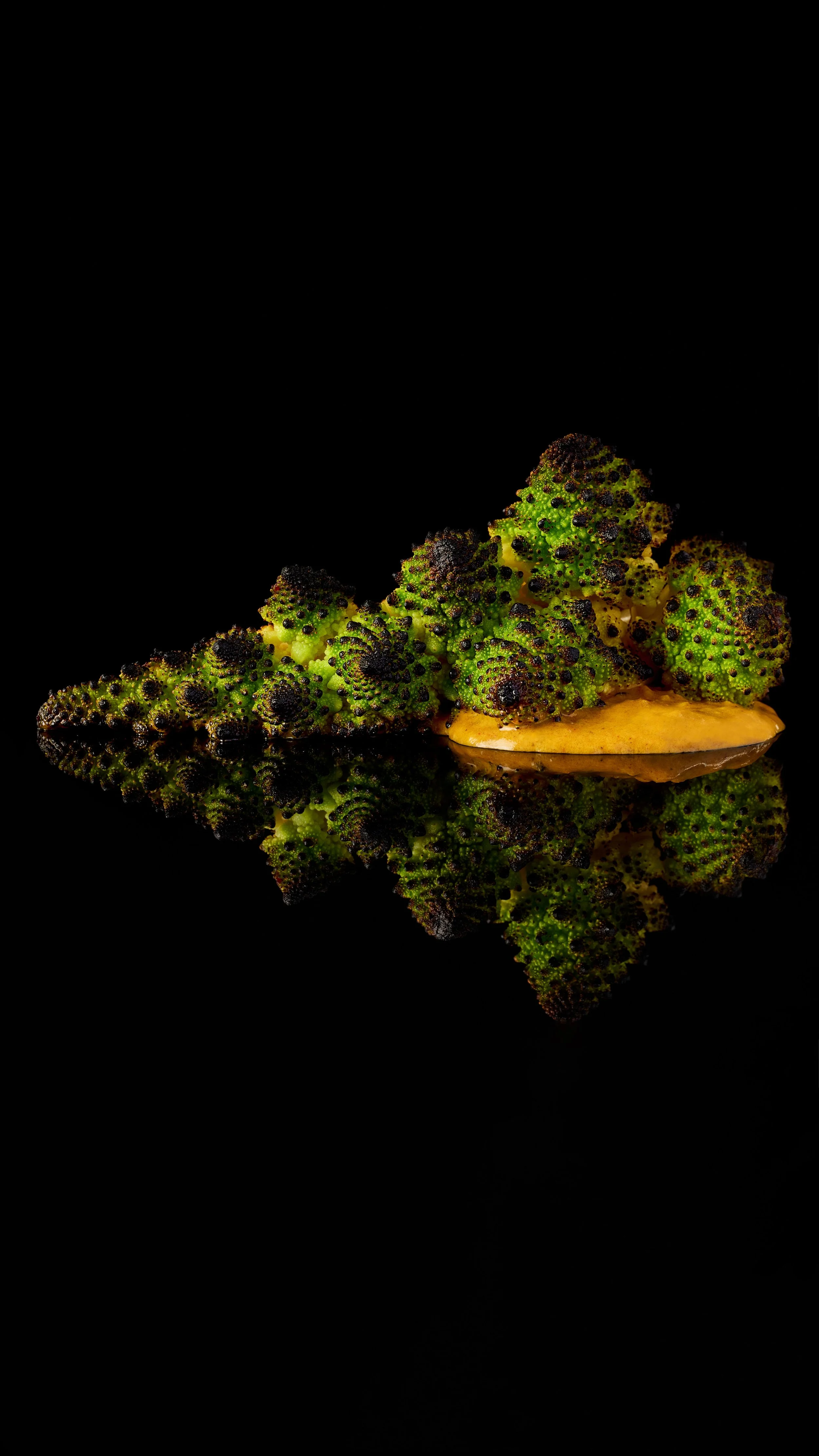 16x92022_12_01 [Revolver] [Barood] Photoshoot61810 2 2.JPG