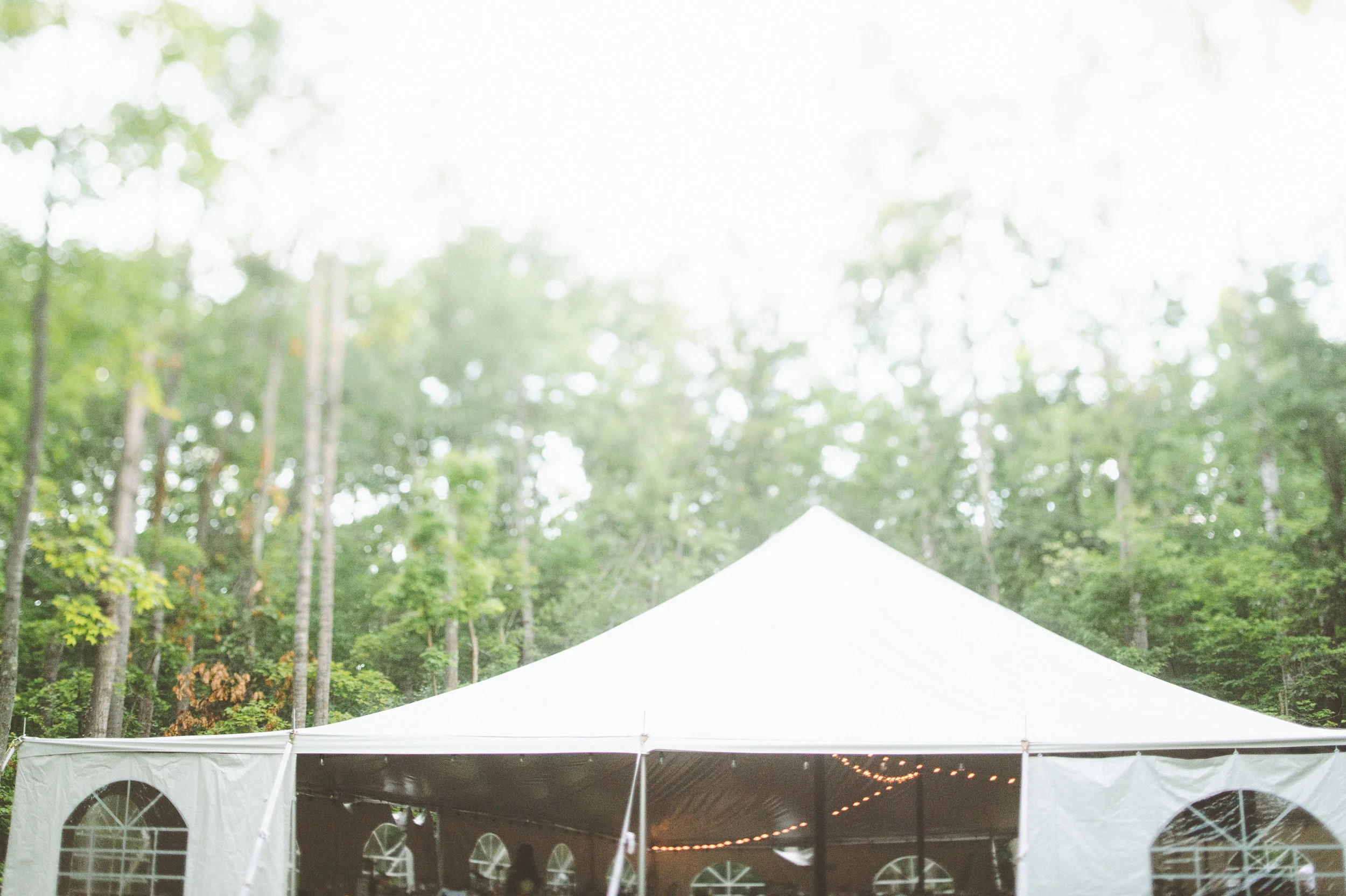 reception - 0004.jpg