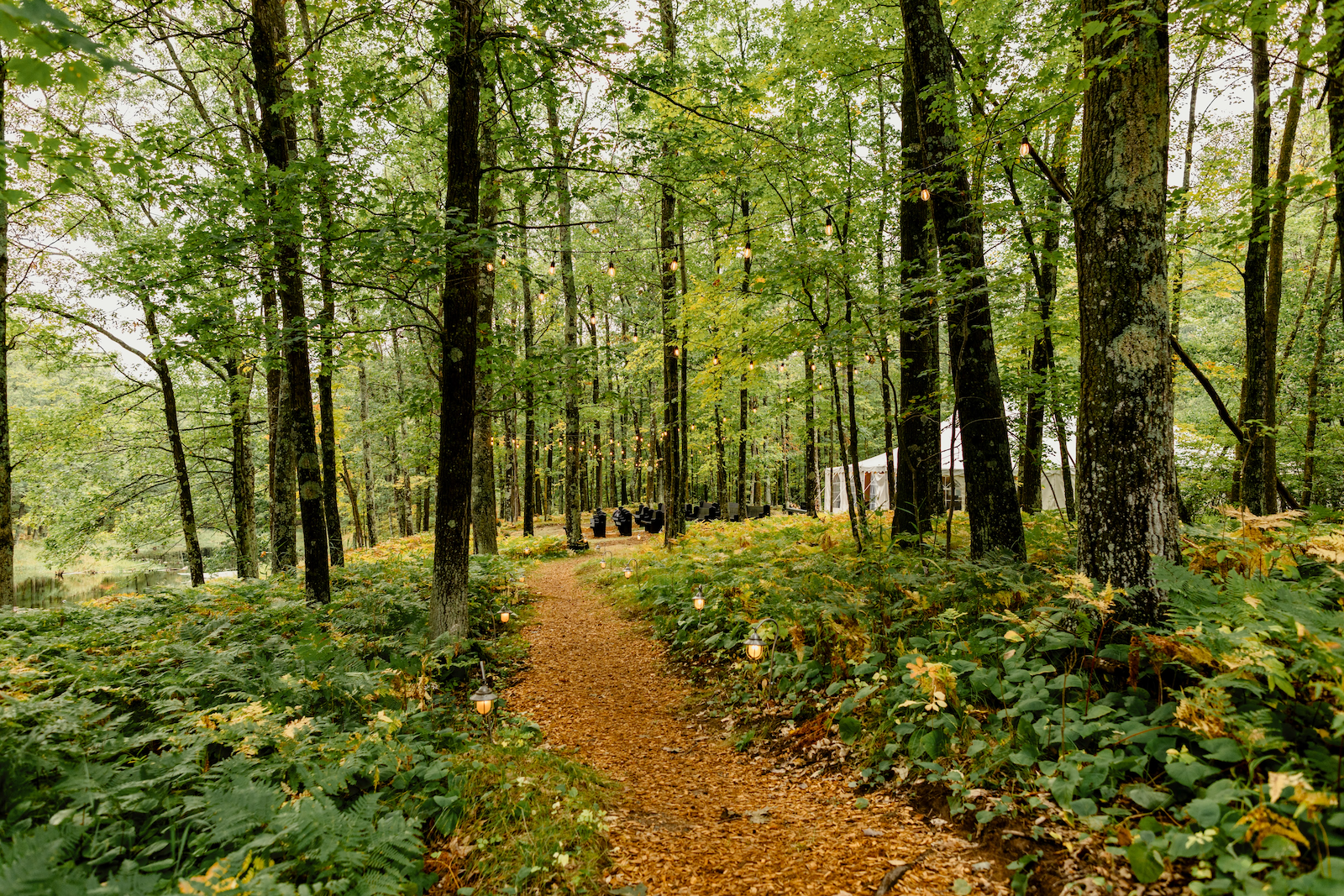 JJP Property and Path by Jesse Lo Photography.png