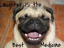 Laughter IS the Best Medicine