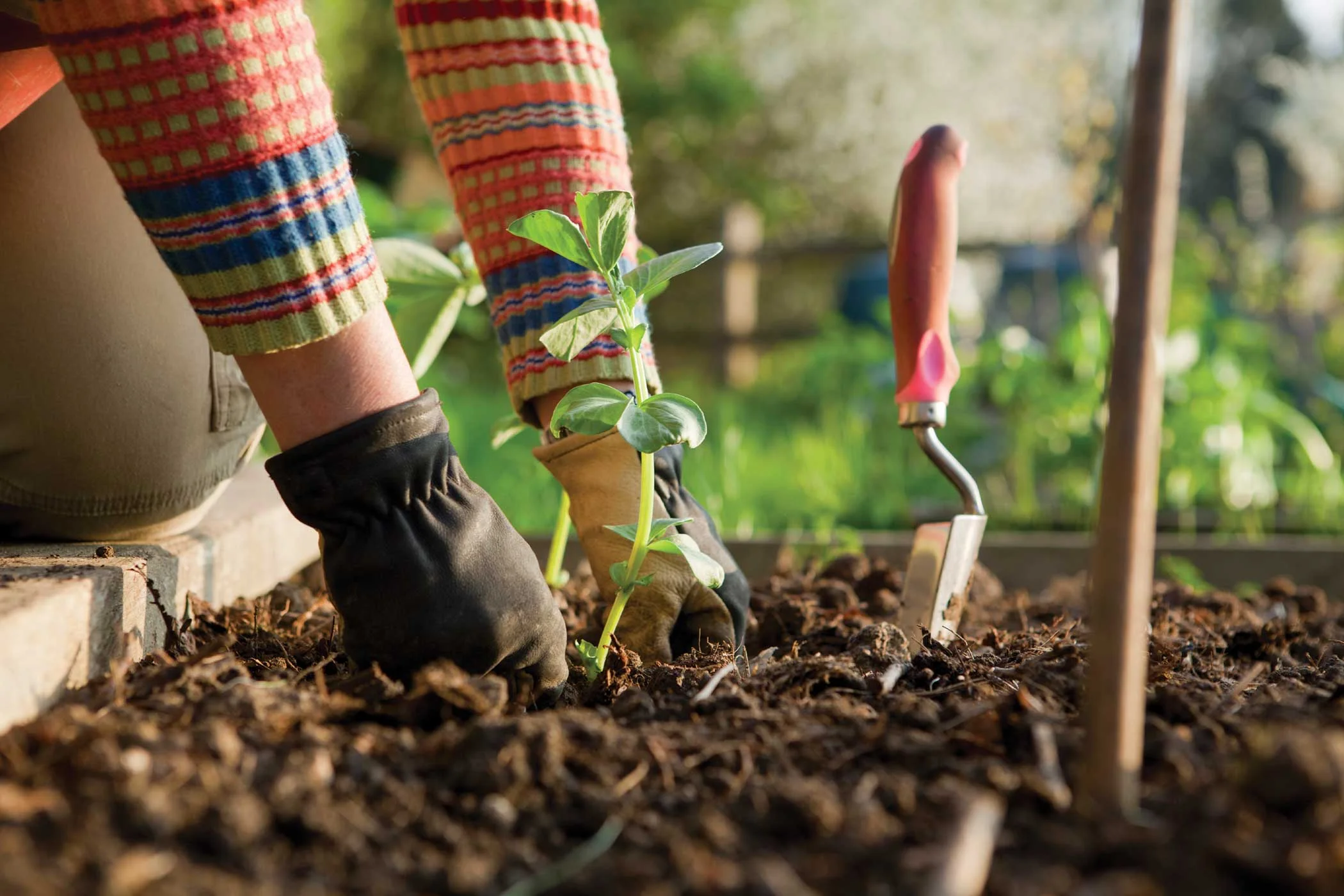 3 Sales Lessons from a Gardener