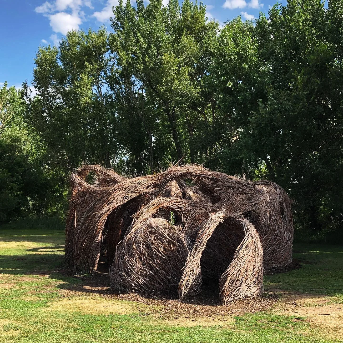 Immerse Yourself in Art Around Colorado