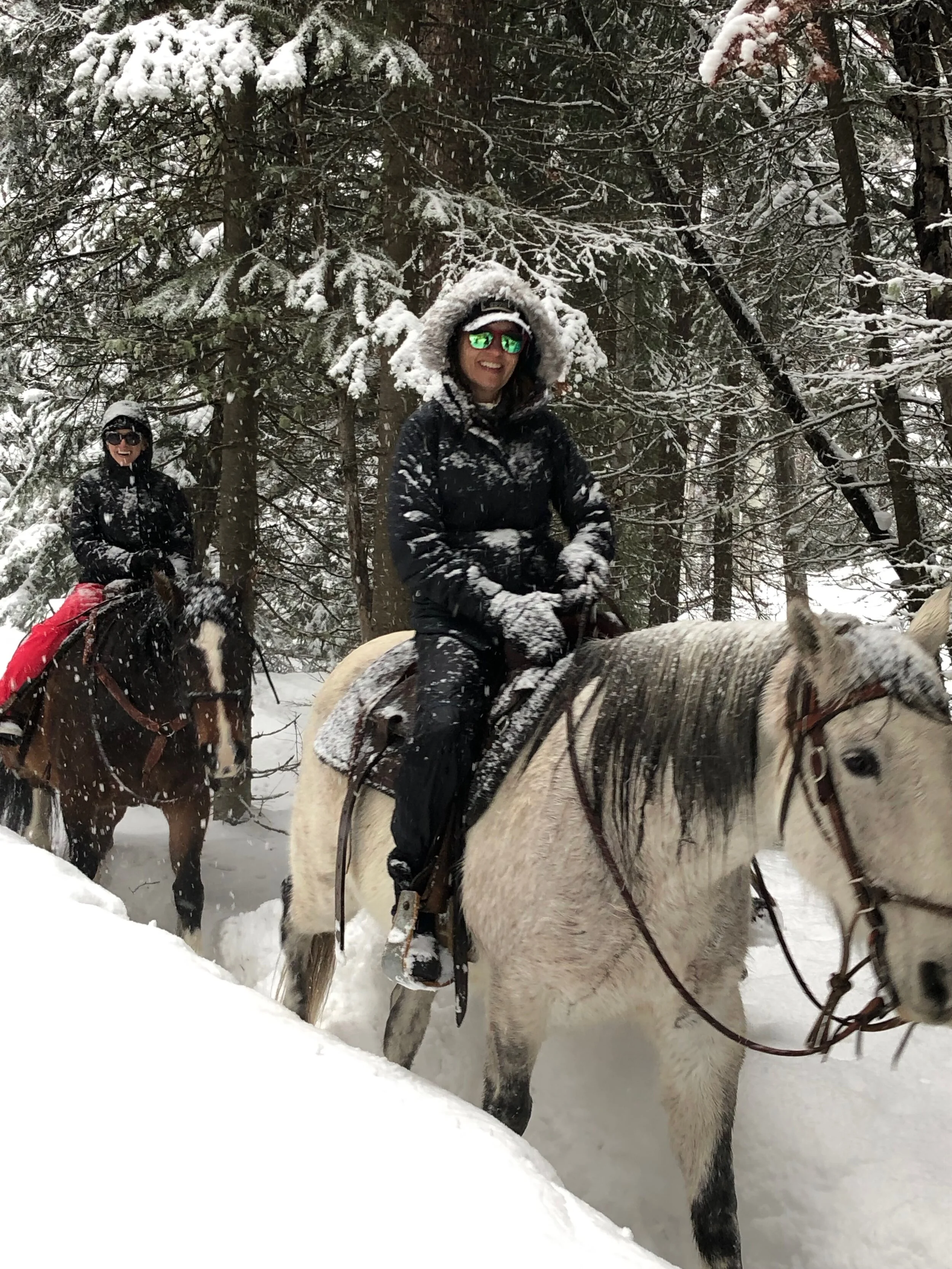 Looking for a Winter Adventure in Colorado?