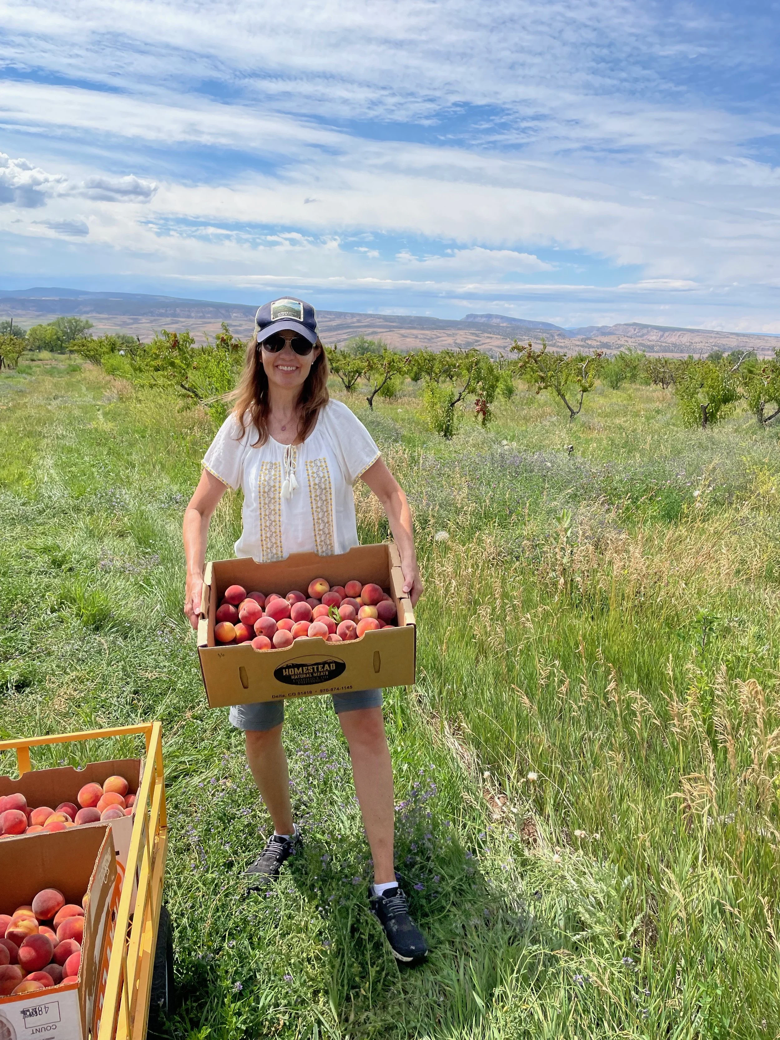 Glamping Farmstay in Colorado's North Fork Valley