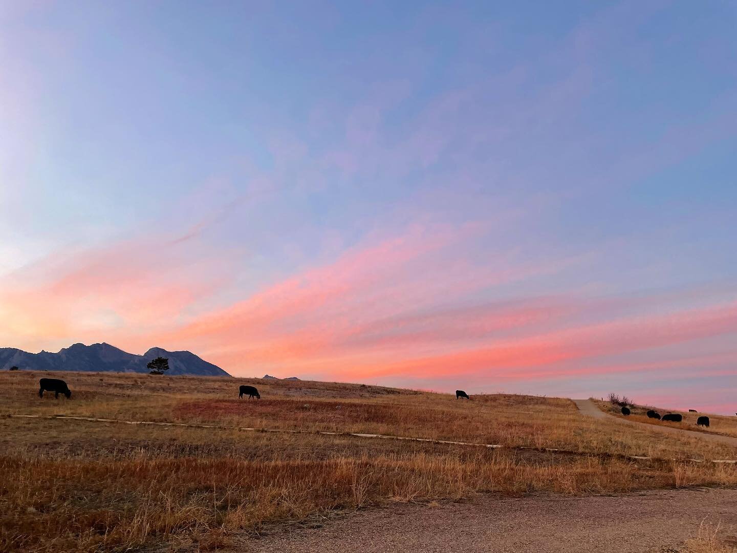 Sunset views. 
#flatironsvista #sunsethike #colorado