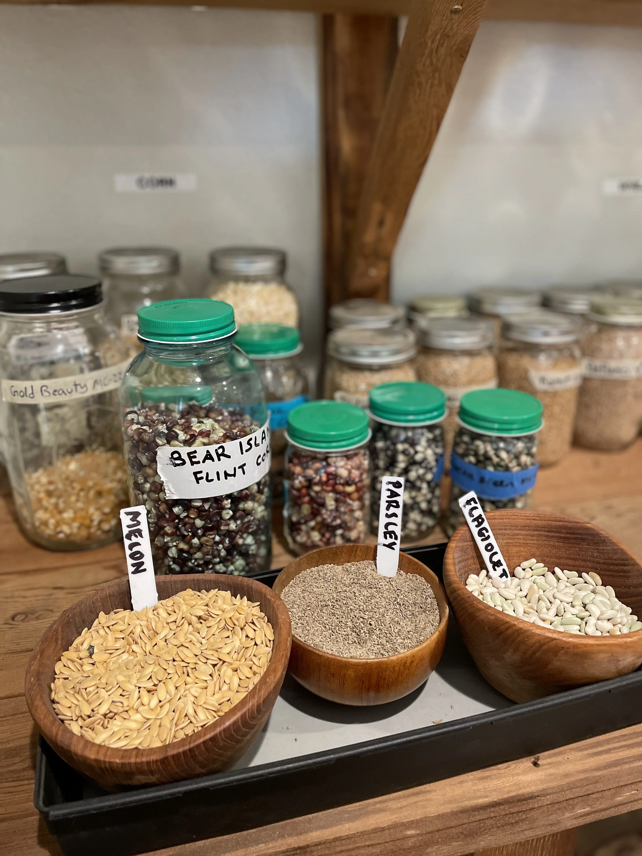 Not Just a Farm, a Seed Farm and Bank of Climate-Resistant Seeds