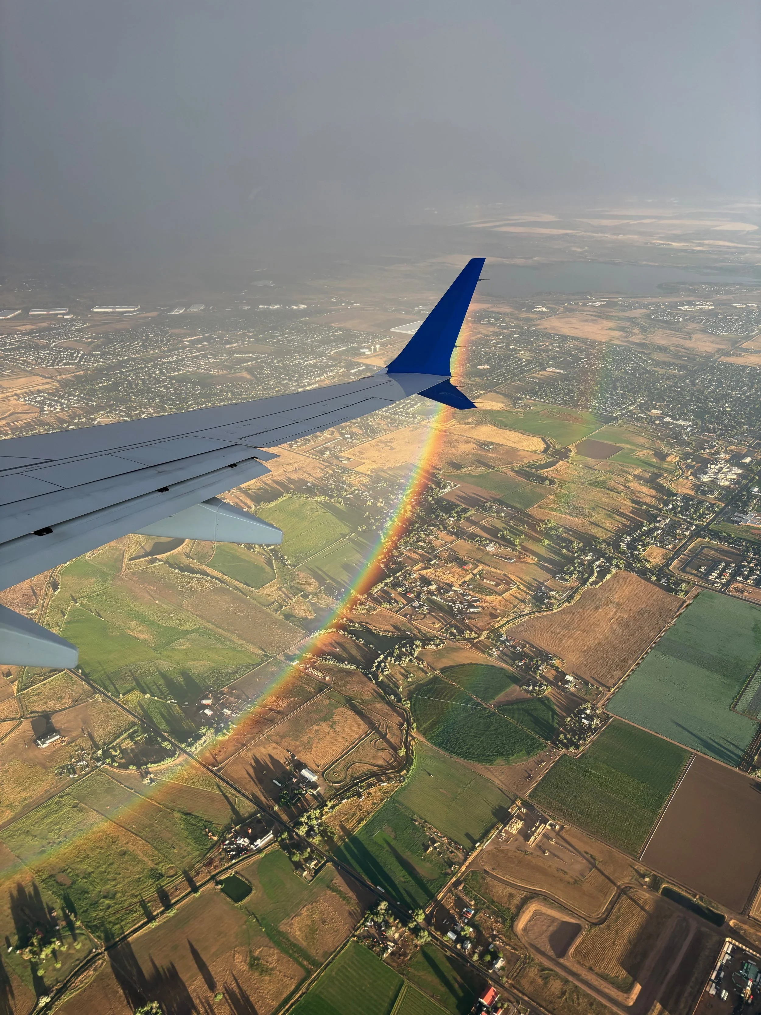 What Do Travel Trends Mean to You?