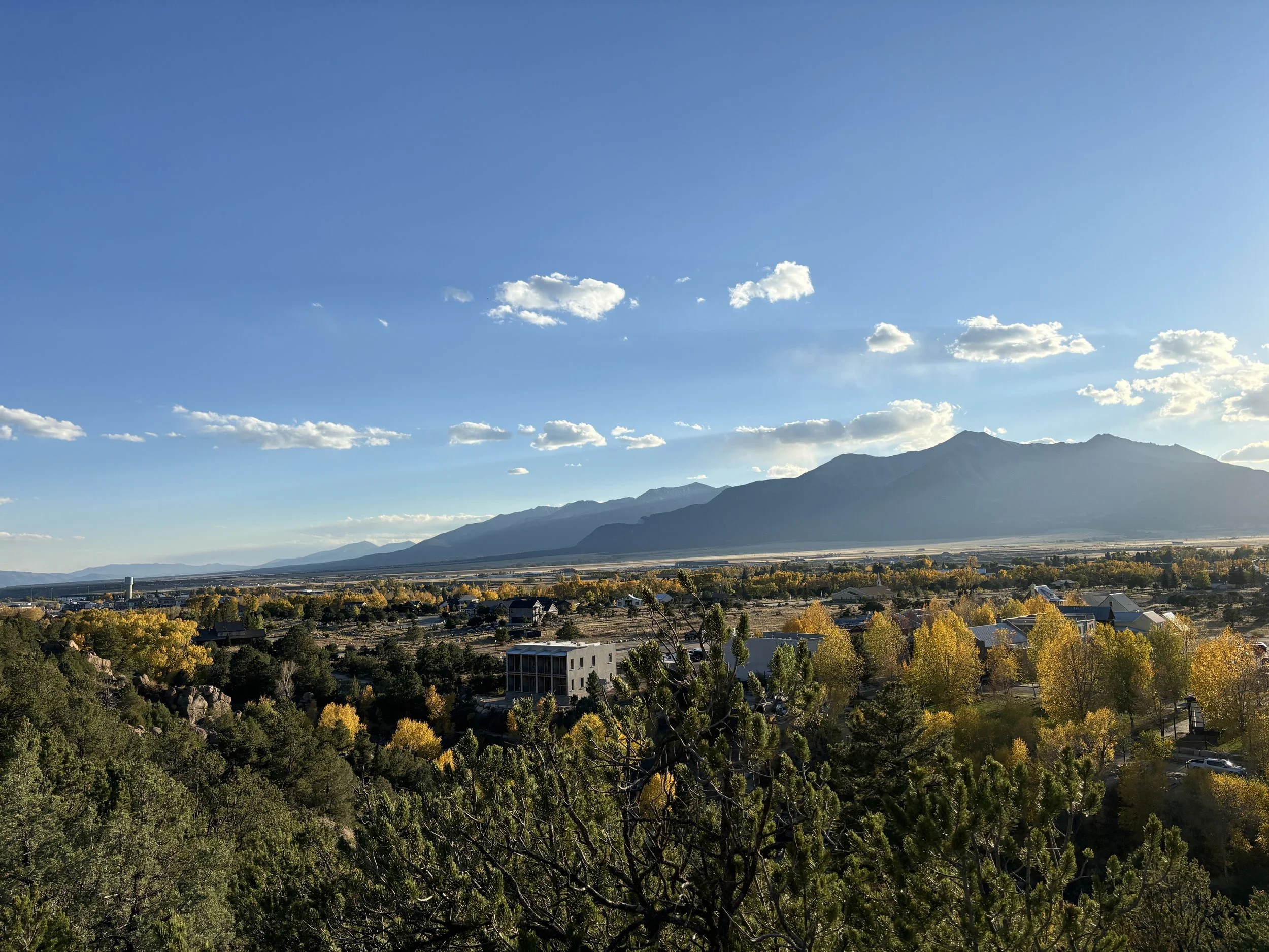 What's New in Buena Vista