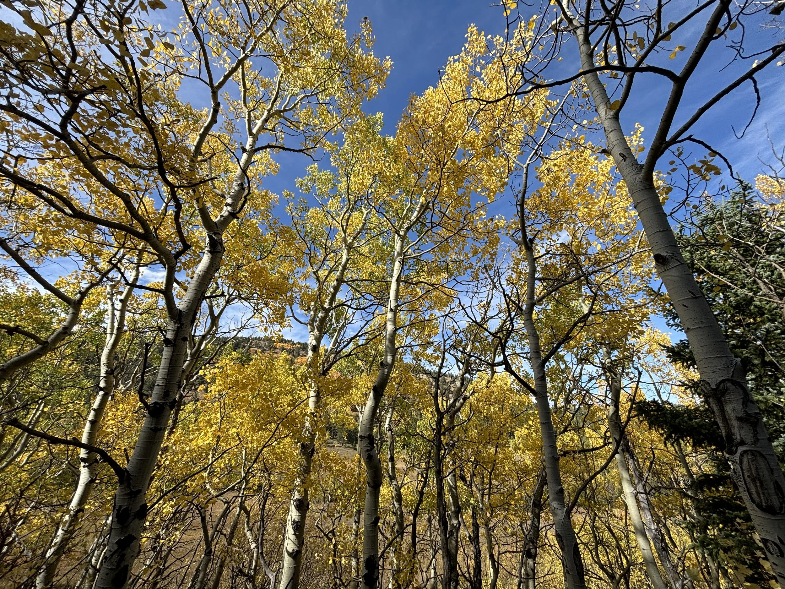 12 Colorado Adventures