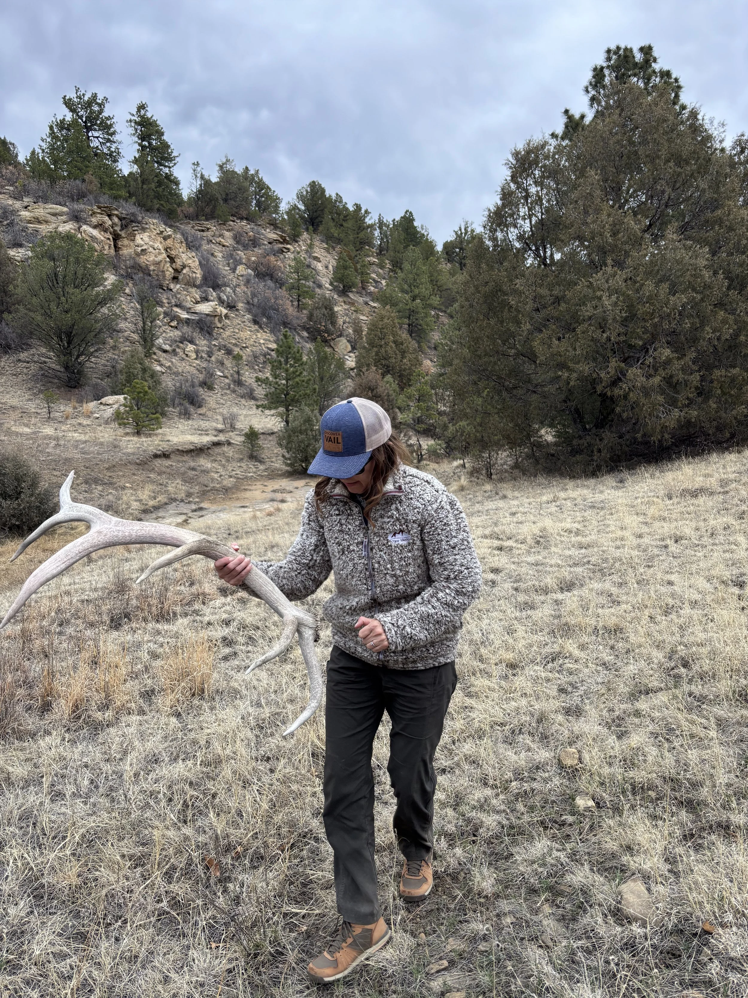 Try Shed Hunting on Your Next Hike