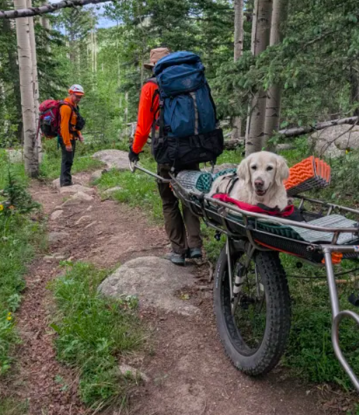 What If Your Dog Needs A Trail Rescue?