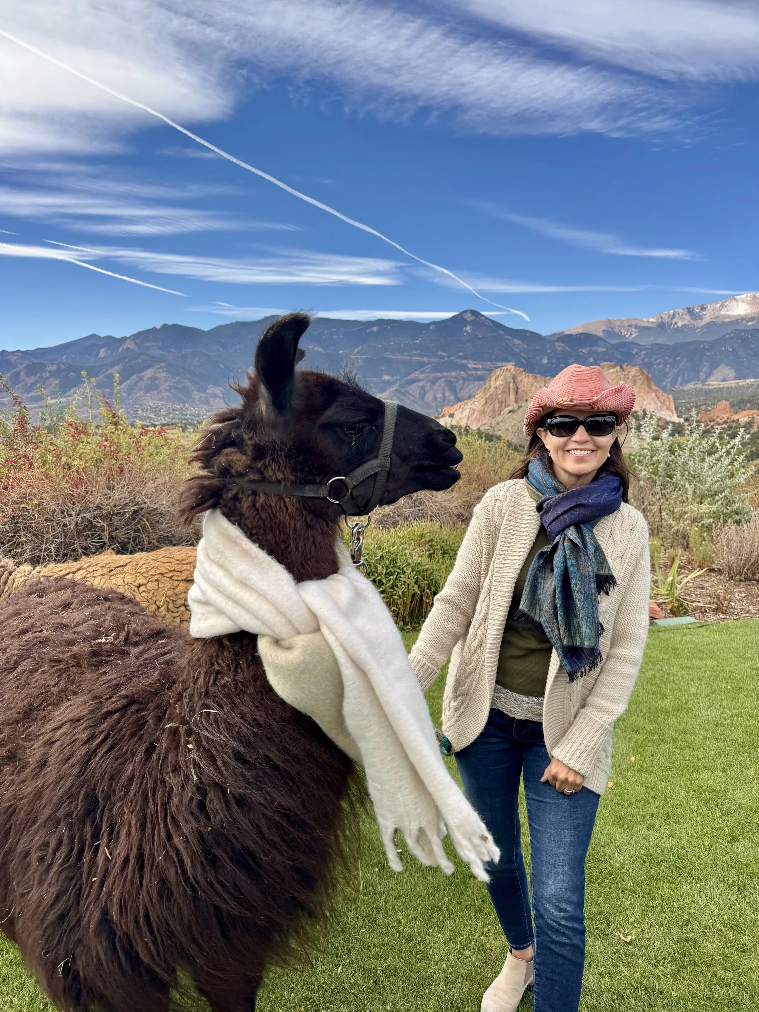 Brunch in Colorado: Trains, Llamas, Hikes