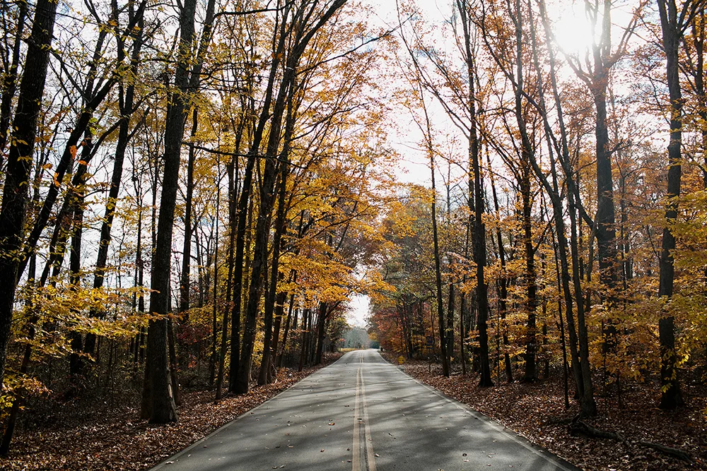 Places_005.jpg