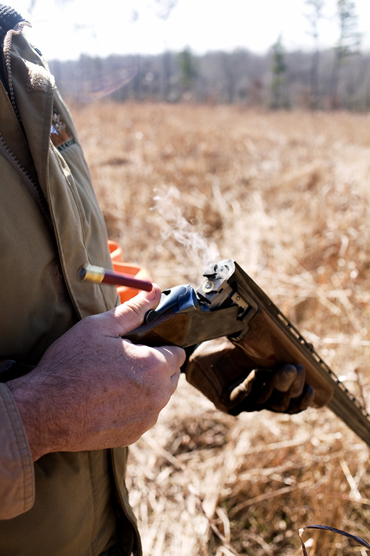QUAIL022.jpg