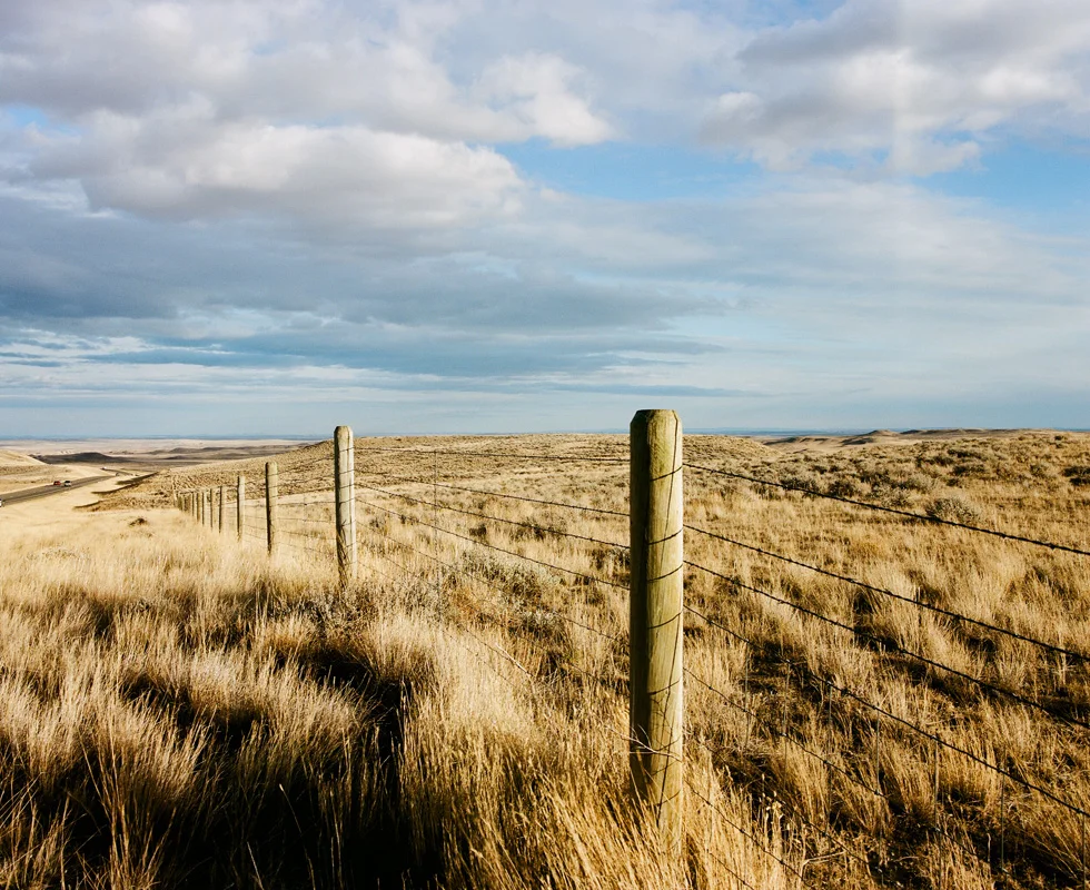 ROADTRIP006.jpg