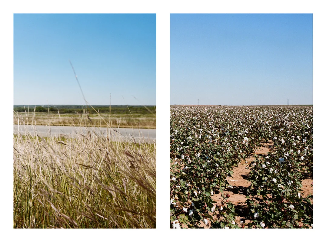 ROADTRIP010.jpg