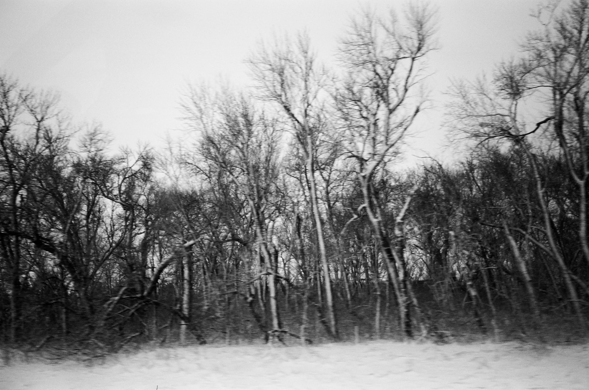 ROADTRIP015.jpg