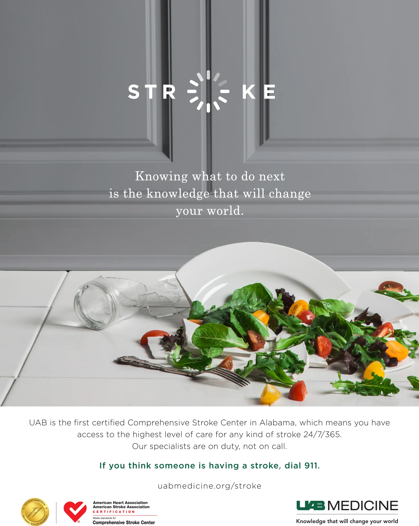 UAB-Stroke-Plateweb.jpg
