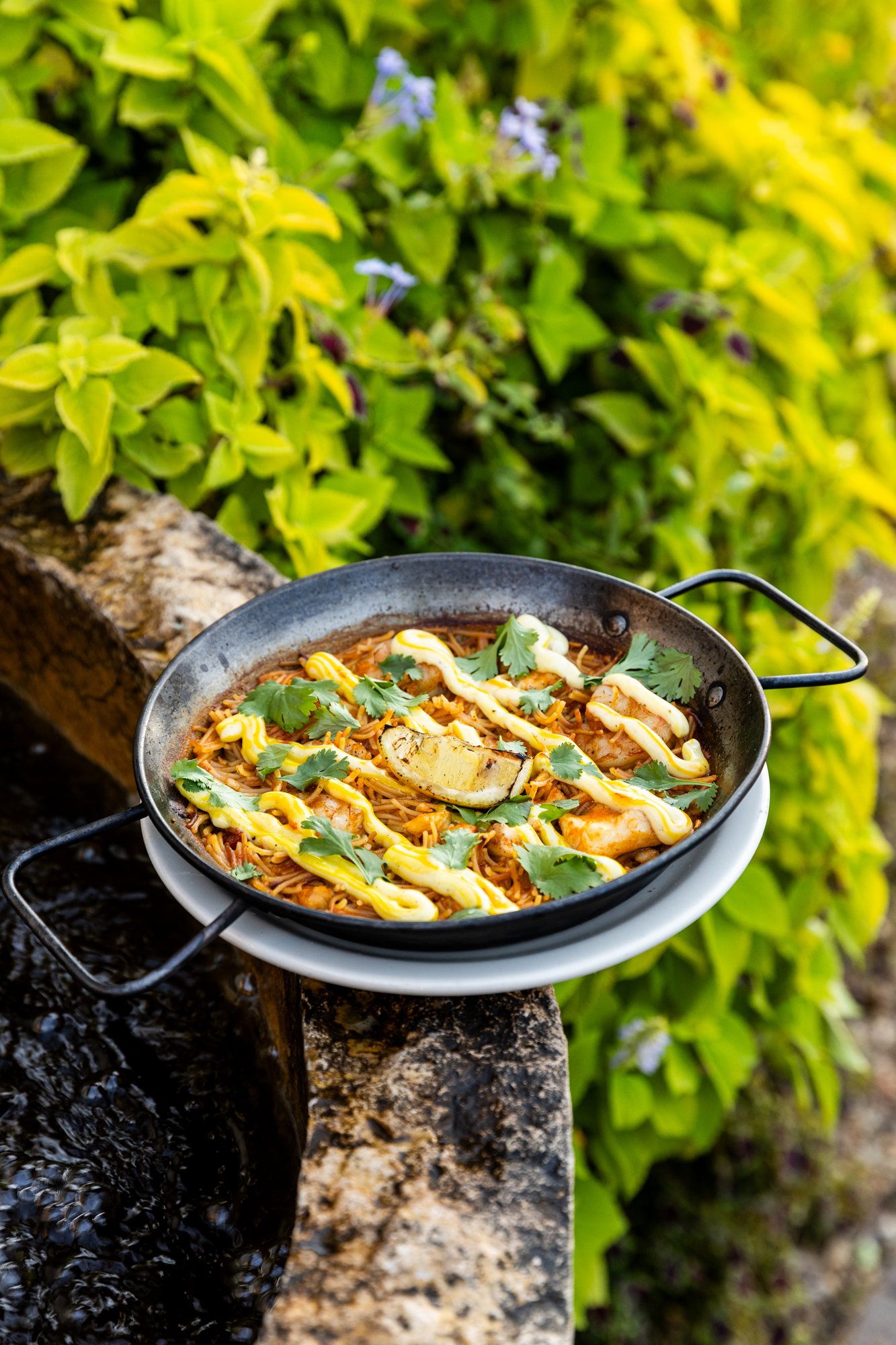 A dish of stir-fried noodles with chicken, garnished with cilantro, along with sauce or mustard drizzle, served outdoors on a stone ledge with greenery in the background. Ovenbird Restaurant in Birmingham, Alabama.