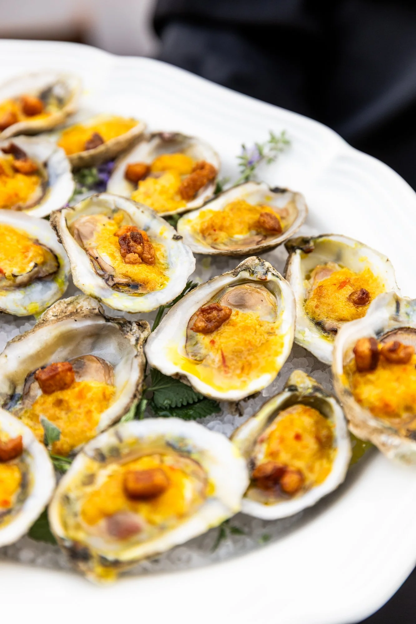 Close-up of baked oysters topped with cheese and bacon on a white platter. Southbound Food Festival in Birmingham, Alabama.