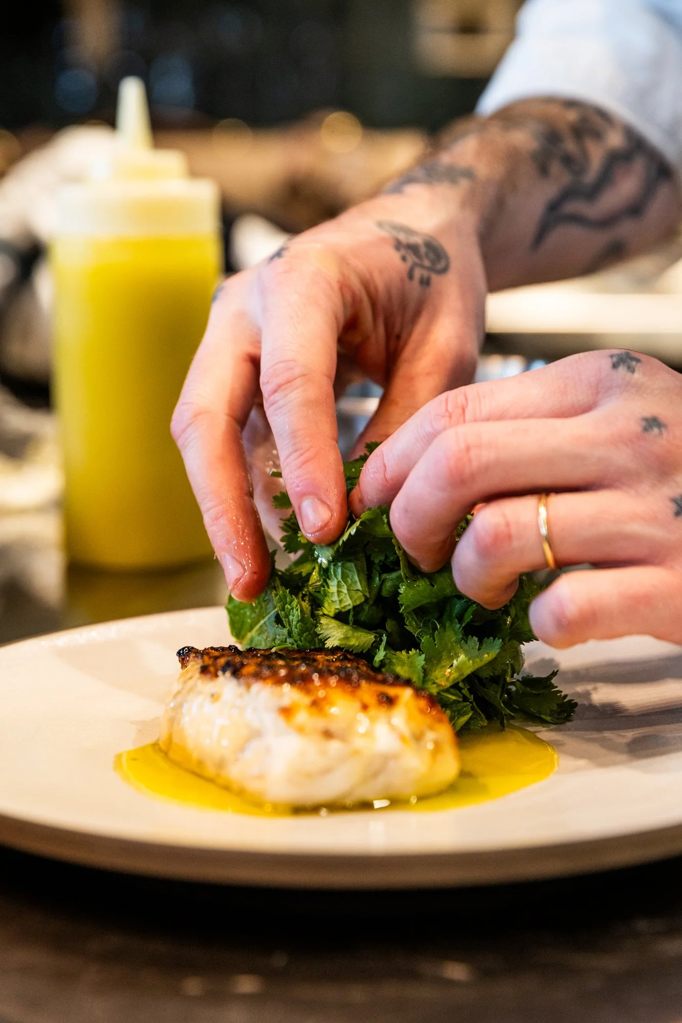 Close-up of a tattooed person's hands garnishing a plated dish with fresh cilantro, with grilled fish and yellow sauce on a white plate in a restaurant setting.