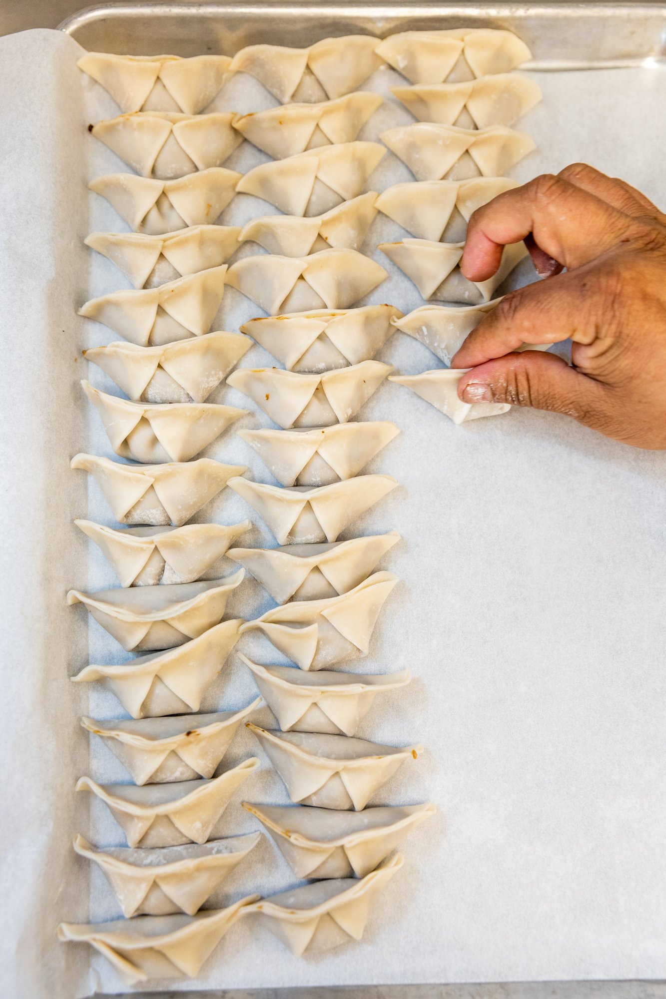 A person placing uncooked dumplings or potstickers on a baking sheet lined with parchment paper.