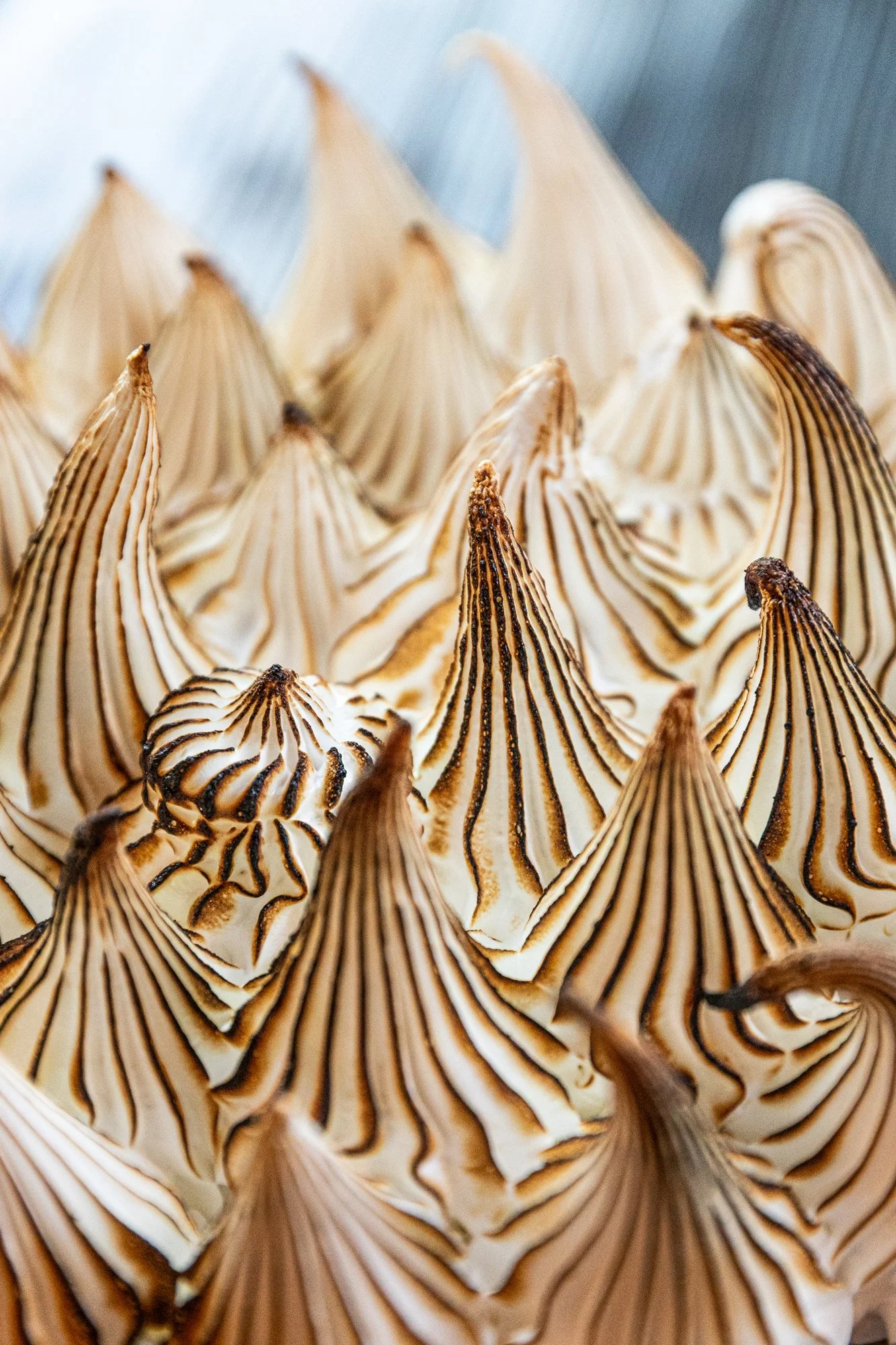 Close-up of toasted meringue peaks with chocolate drizzle.