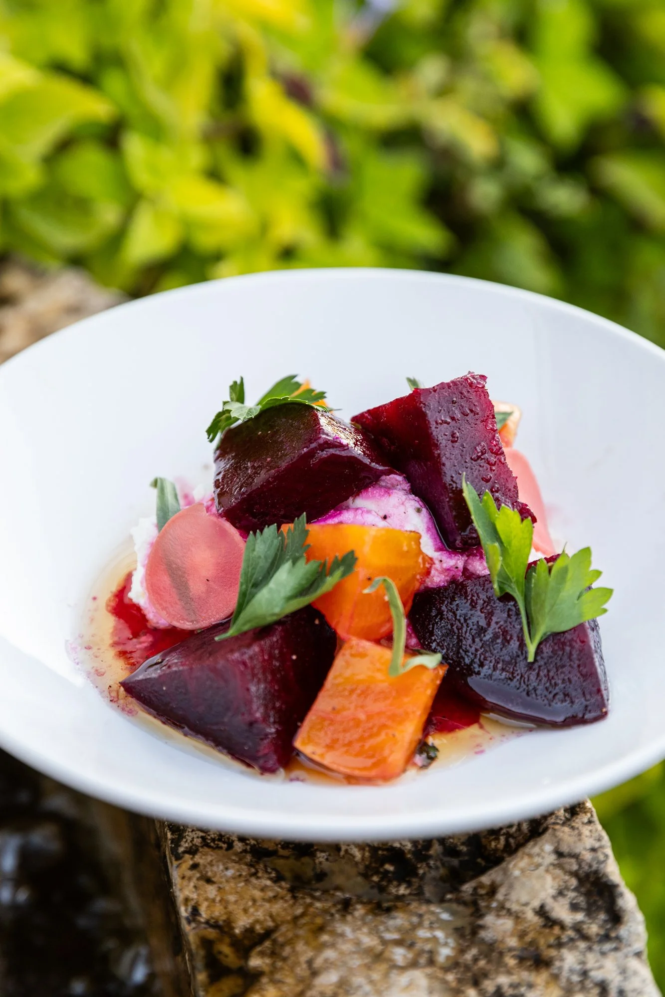 A plate of beet salad garnished with herbs, served outdoors. Ovenbird Restaurant in Birmingham, Alabama.